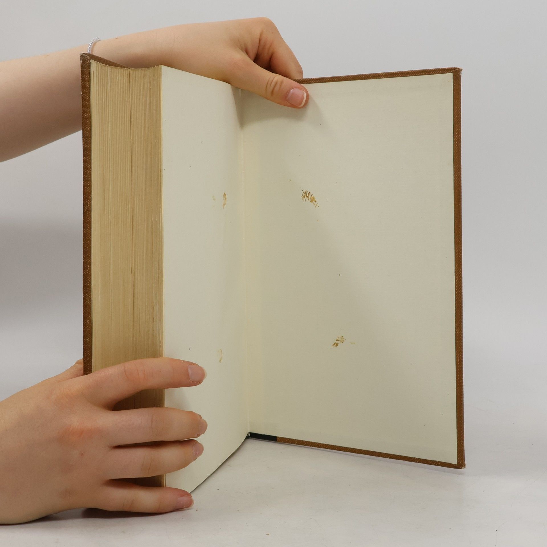 Kolektiv autorů Der Neue Brockhaus 1. A-E