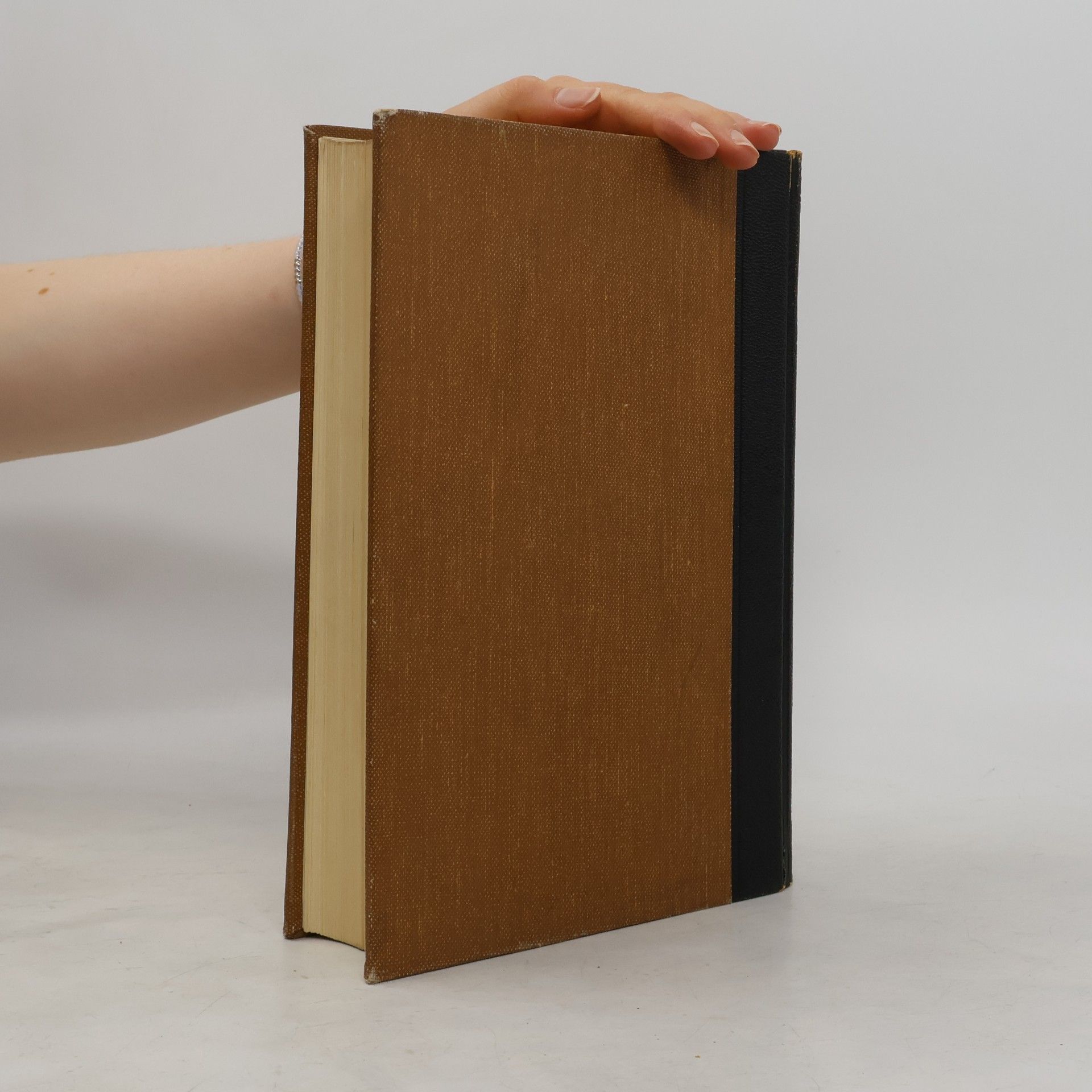 Kolektiv autorů Der Neue Brockhaus 1. A-E