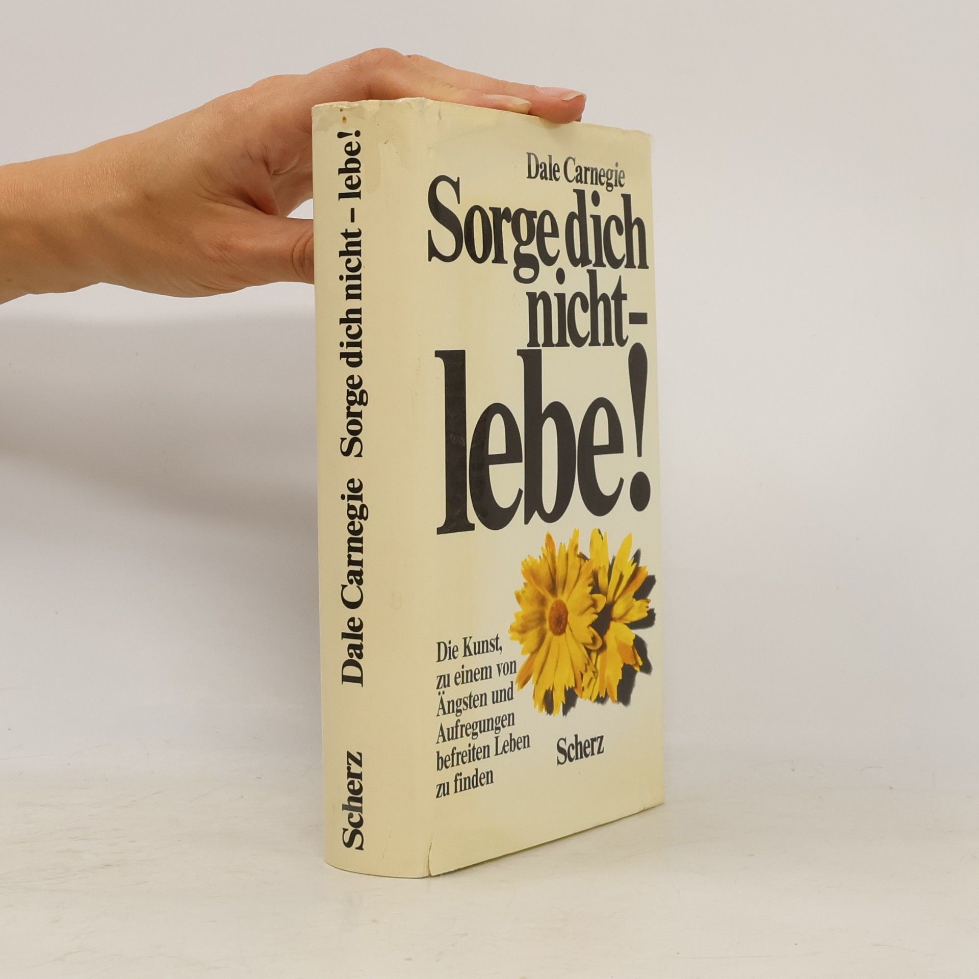 Dale Carnegie Sorge Dich Nicht - lebe!