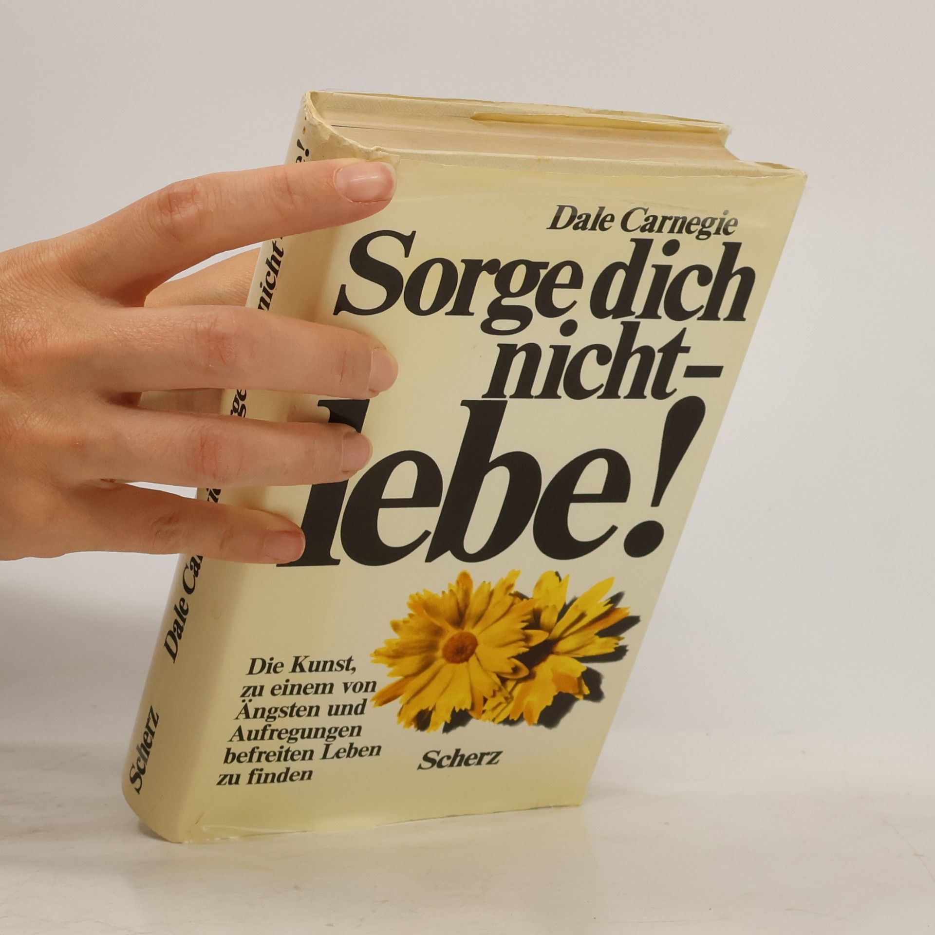 Dale Carnegie Sorge Dich Nicht - lebe!