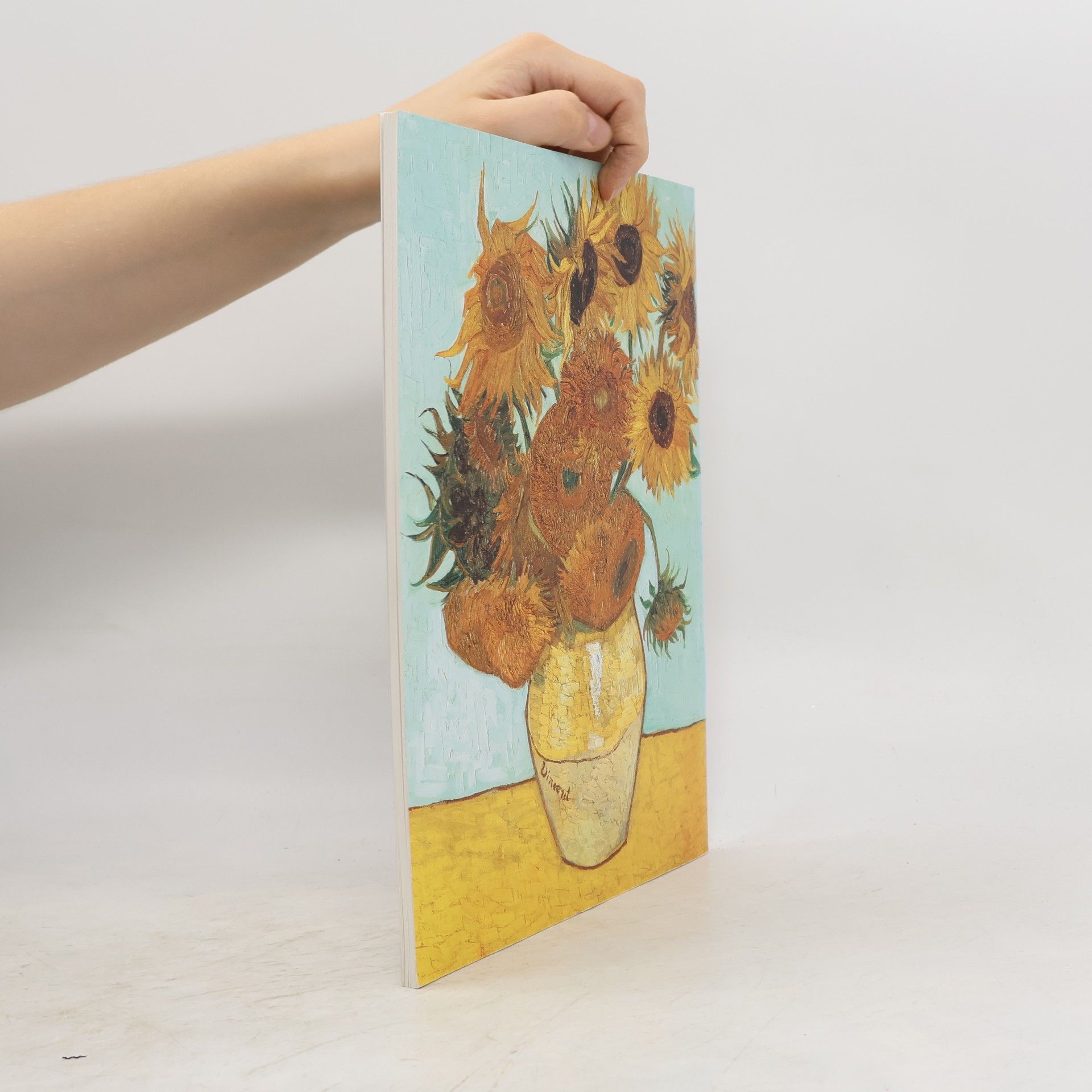 Collectif d'auteurs Alte und Neue Pinakothek