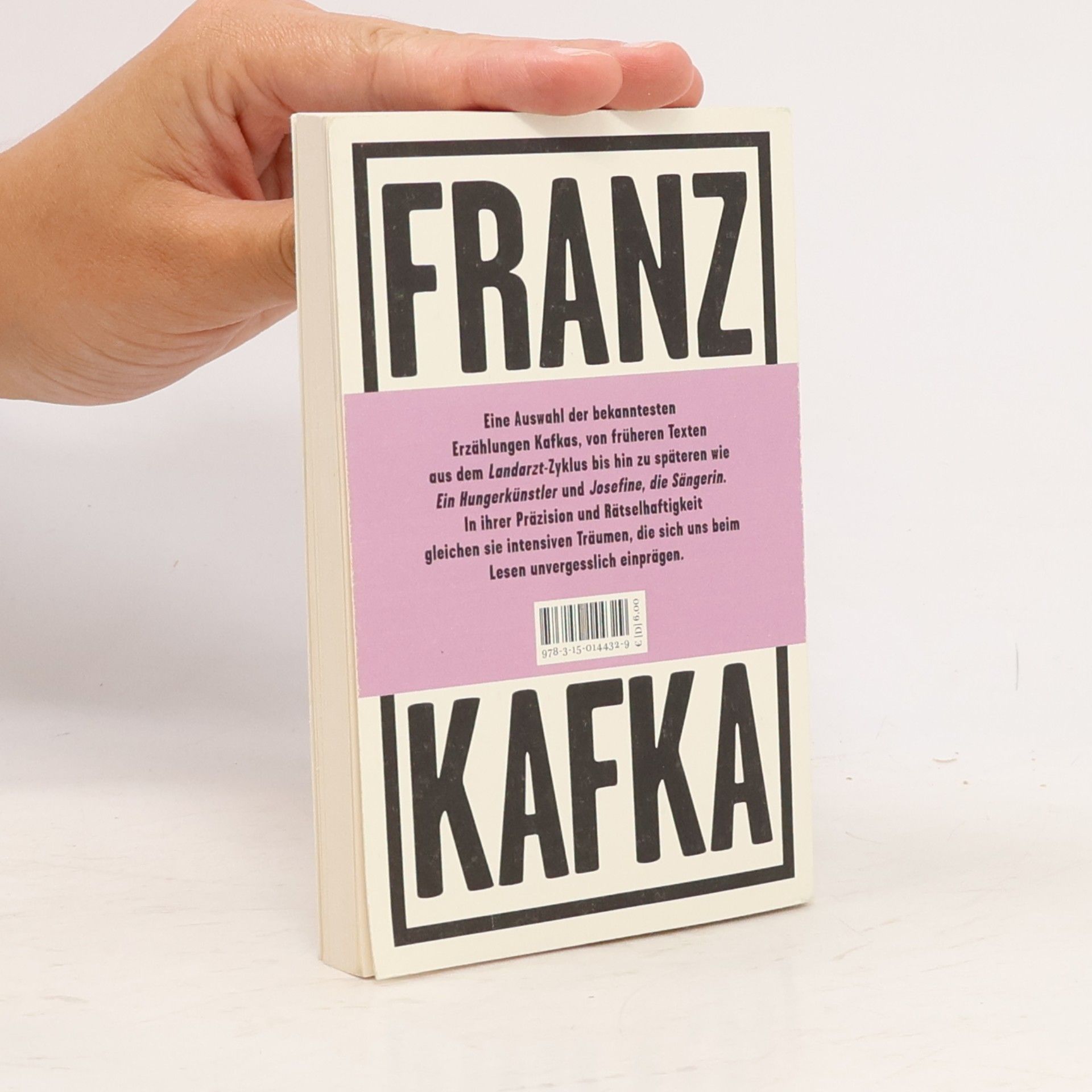 Franz Kafka Ein Landarzt