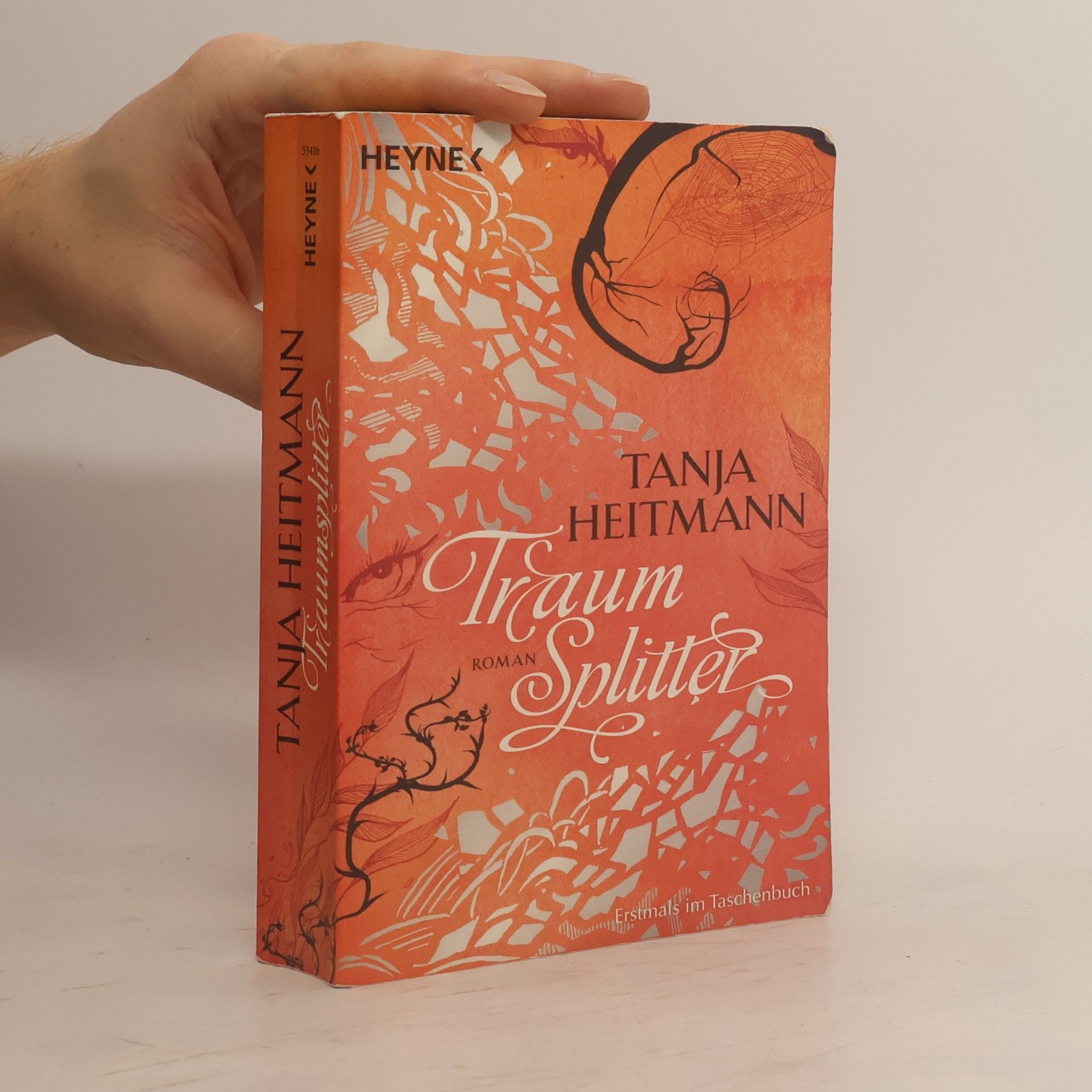 Tanja Heitmann Traumsplitter