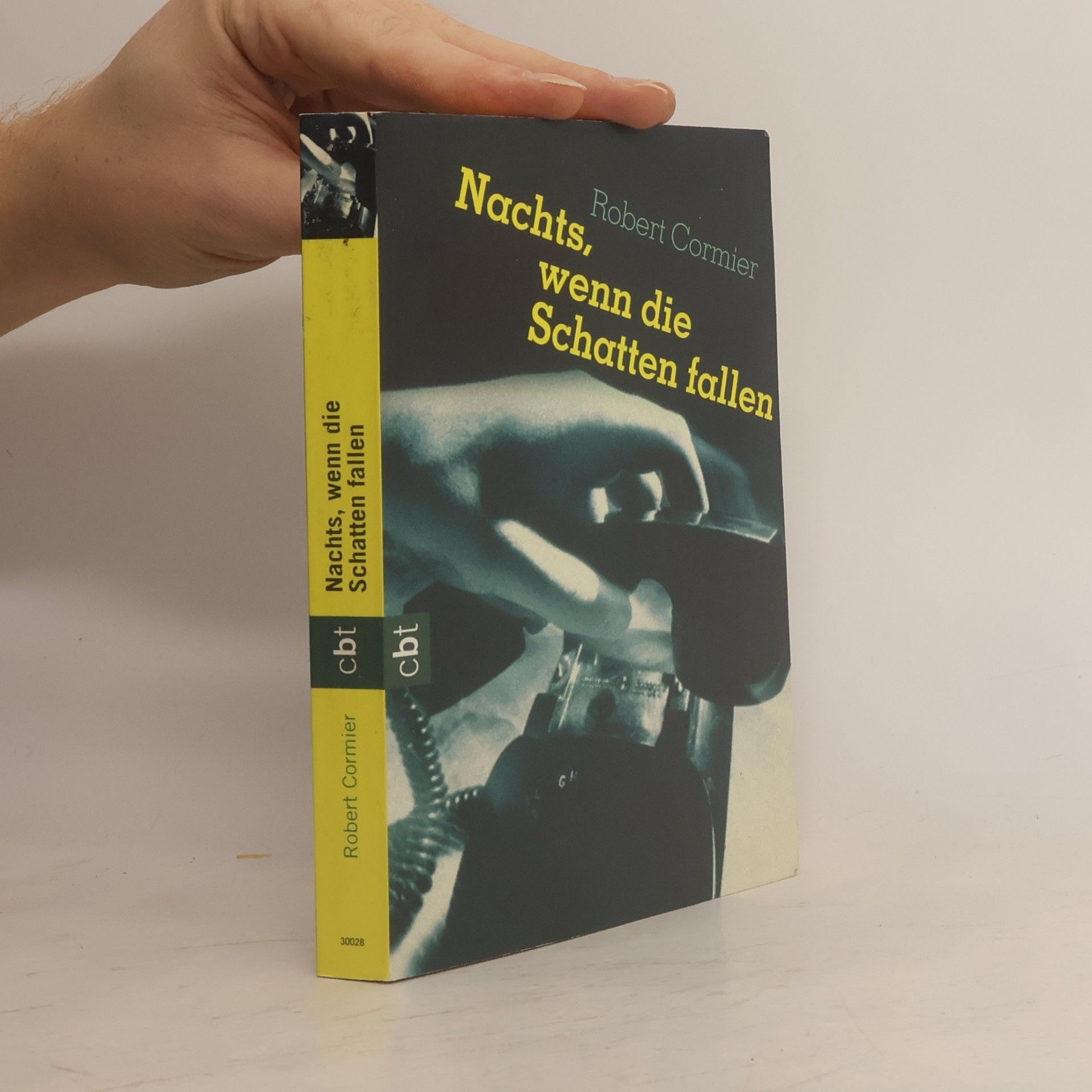 Robert Cormier Nachts, wenn die Schatten fallen