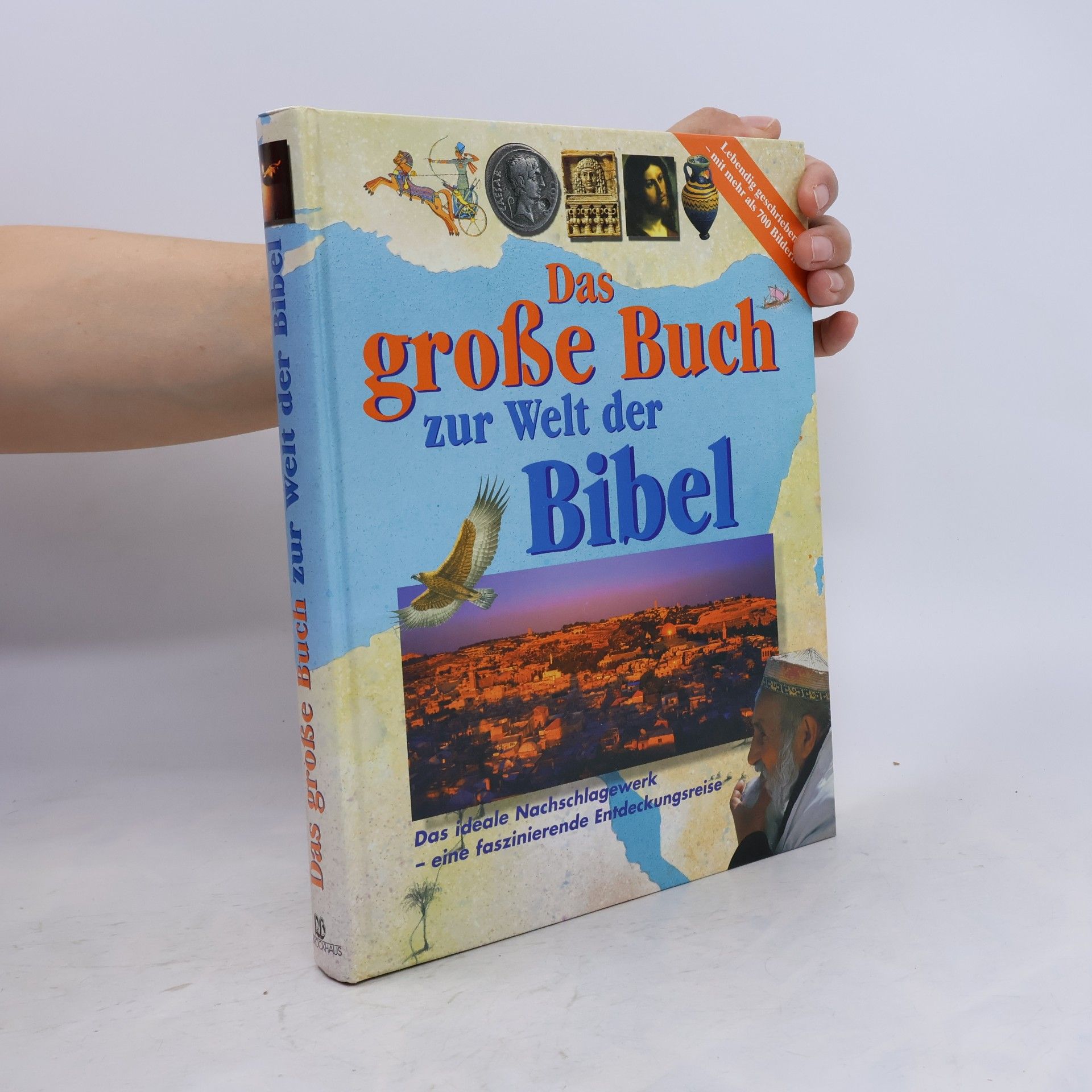John William Drane Das große Buch zur Welt der Bibel