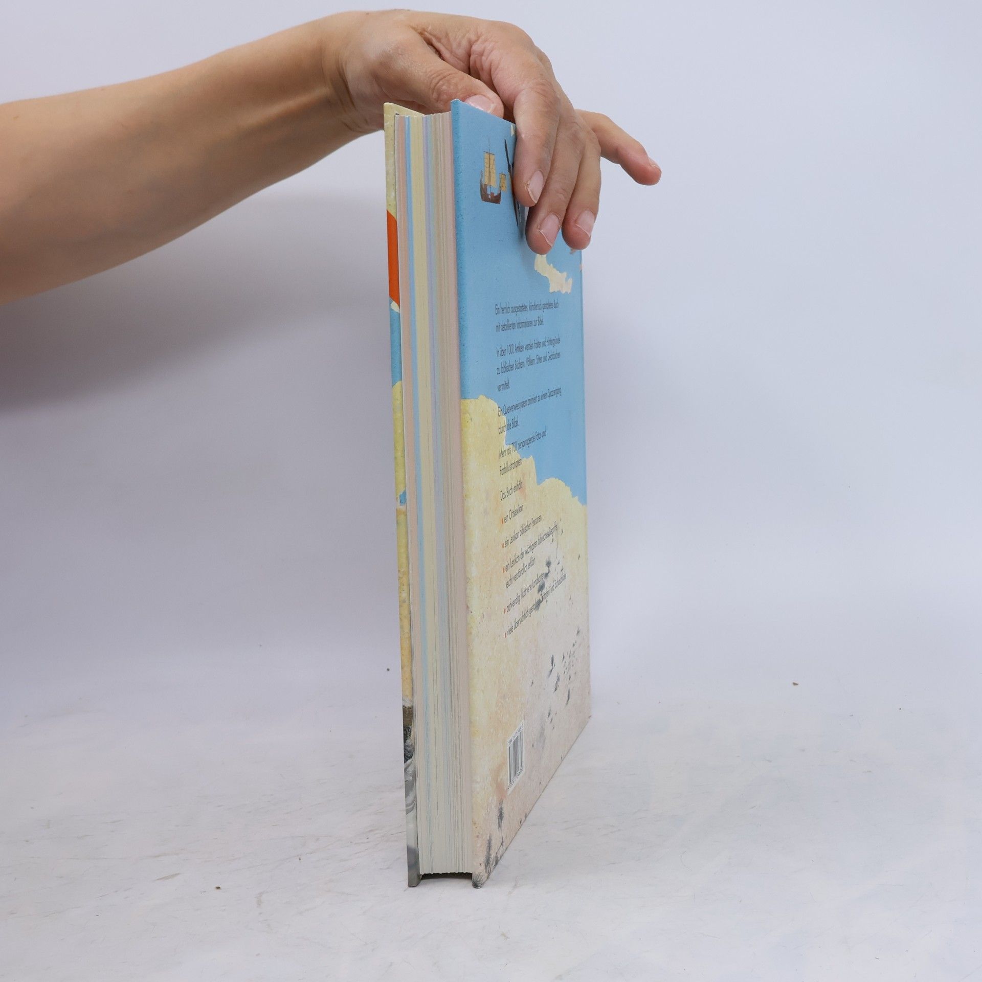 John William Drane Das große Buch zur Welt der Bibel