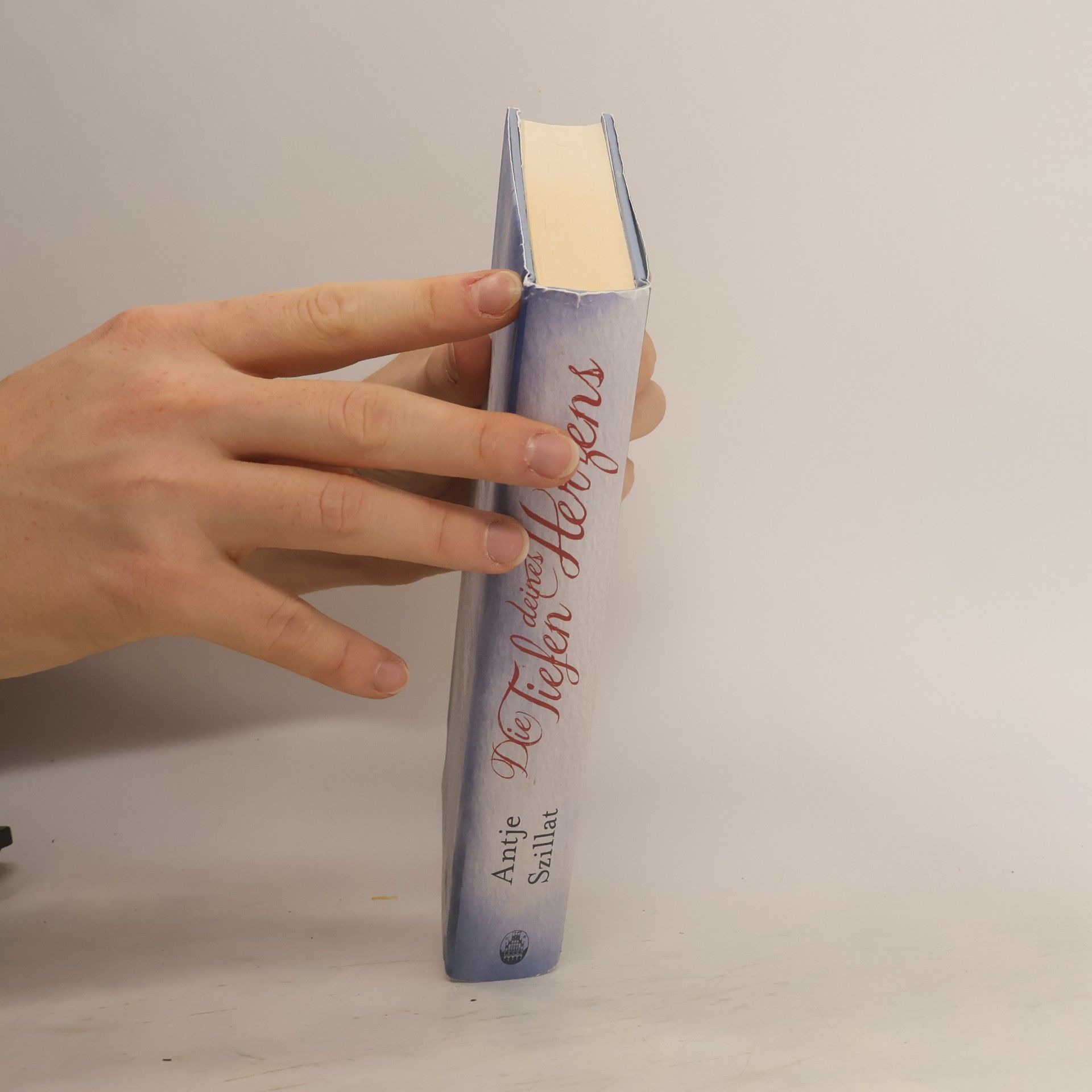 Antje Szillat Die Tiefen deines Herzens