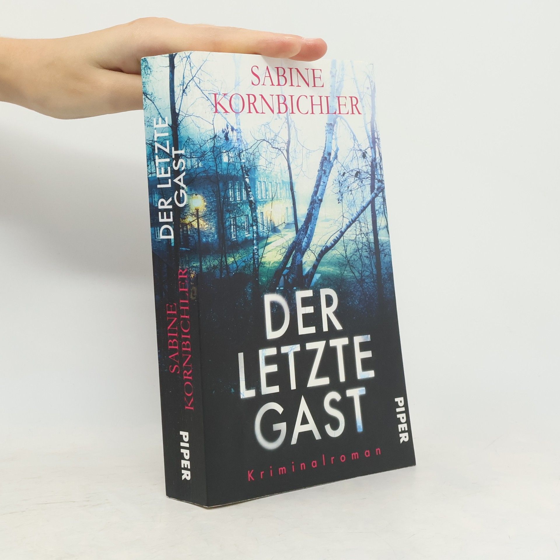 Sabine Kornbichler Der letzte Gast