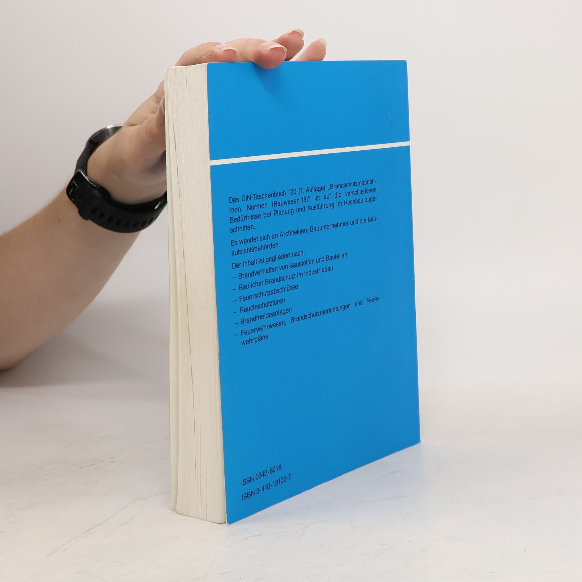 DIN-Taschenbuch - 120: Brandschutzmassnahmen