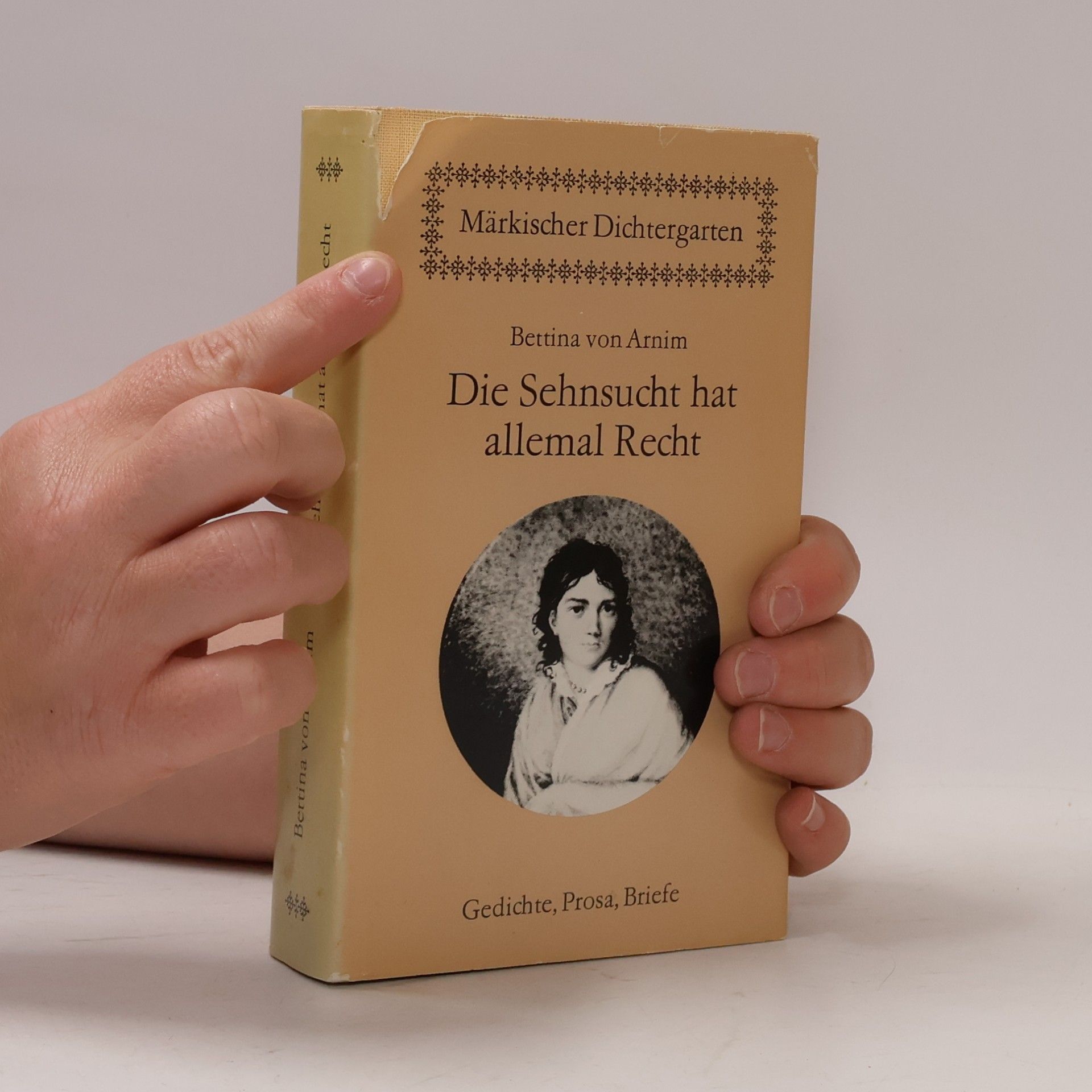 Bettina von Arnim Die Sehnsucht hat allemal Recht
