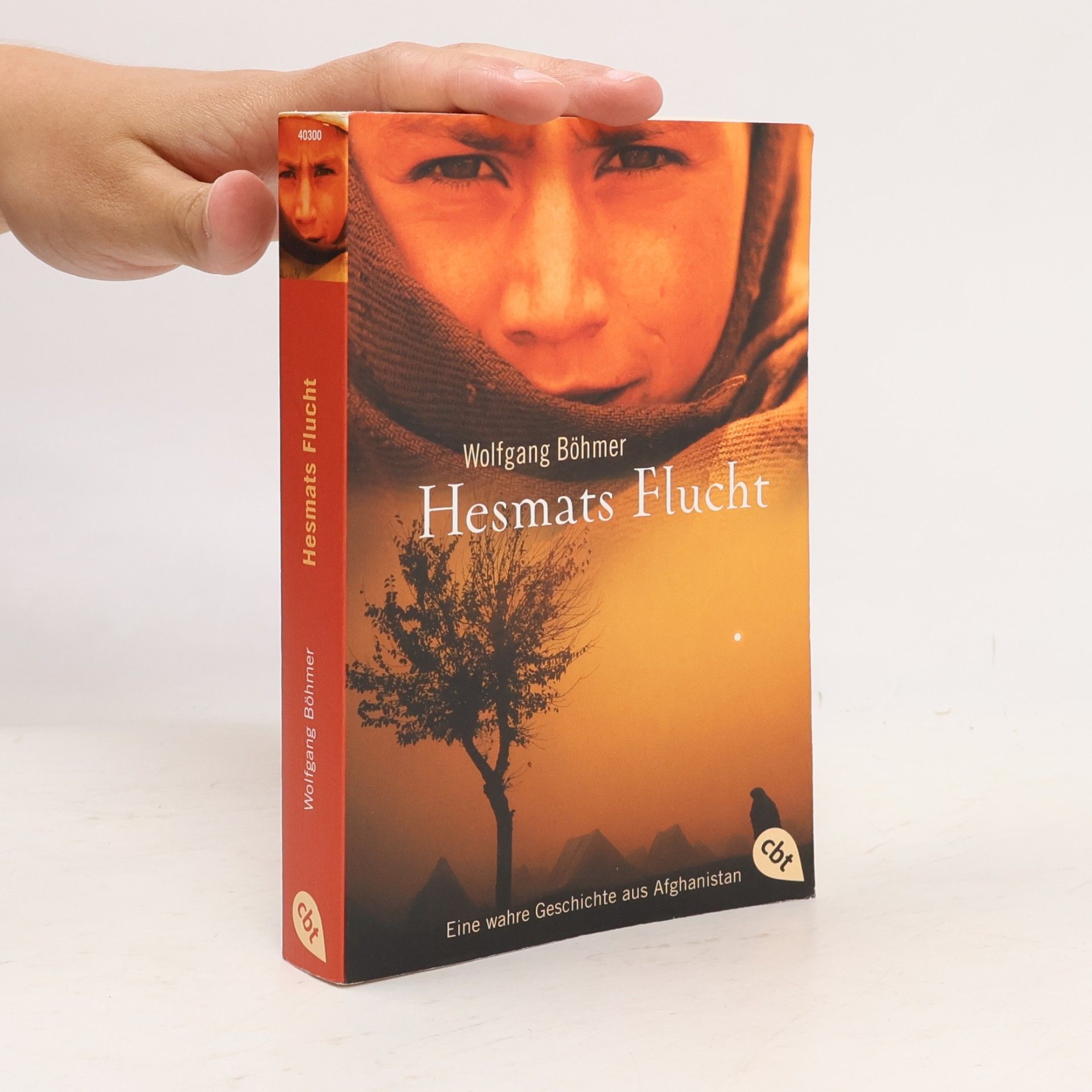 Wolfgang Böhmer Hesmats Flucht