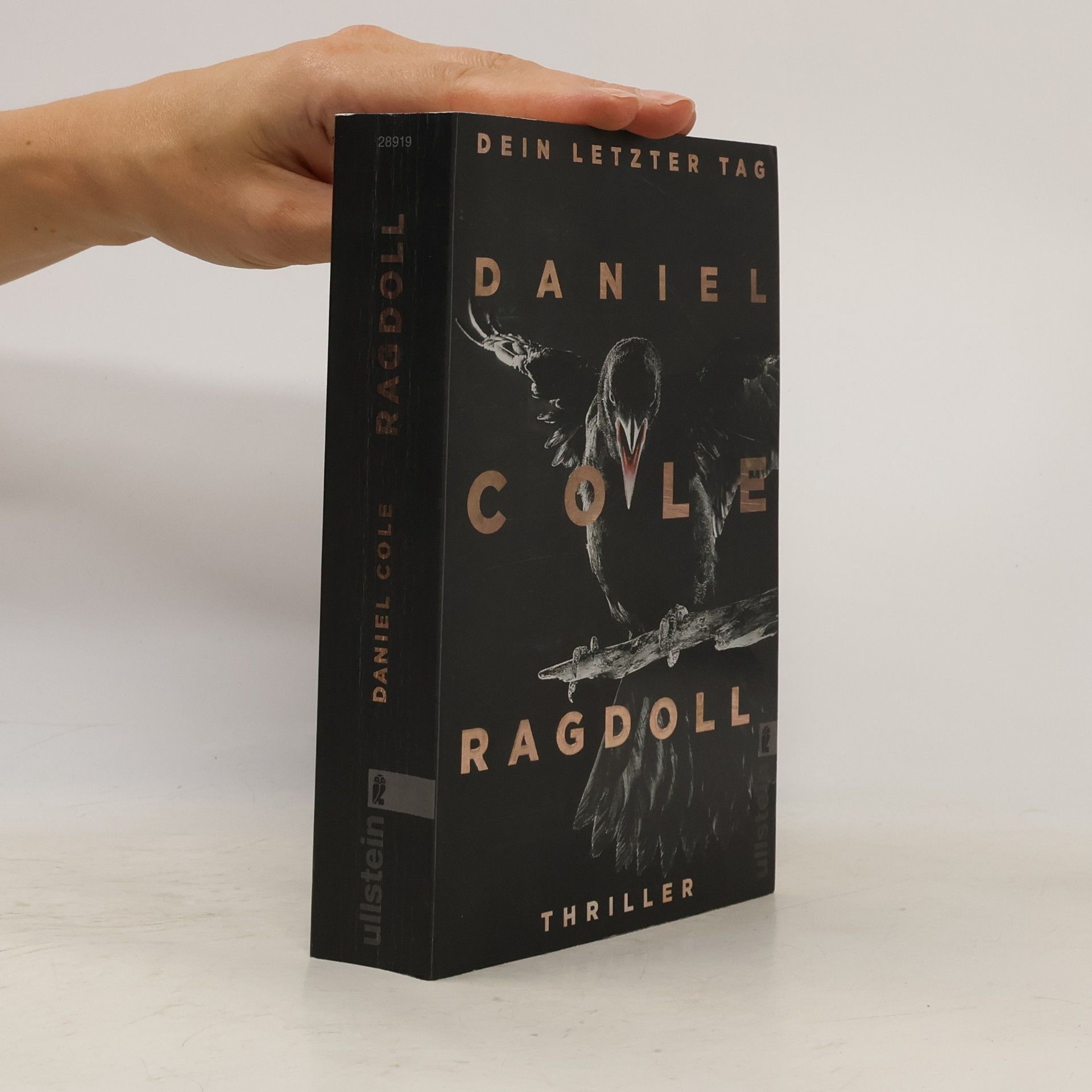 Daniel Cole Ragdoll