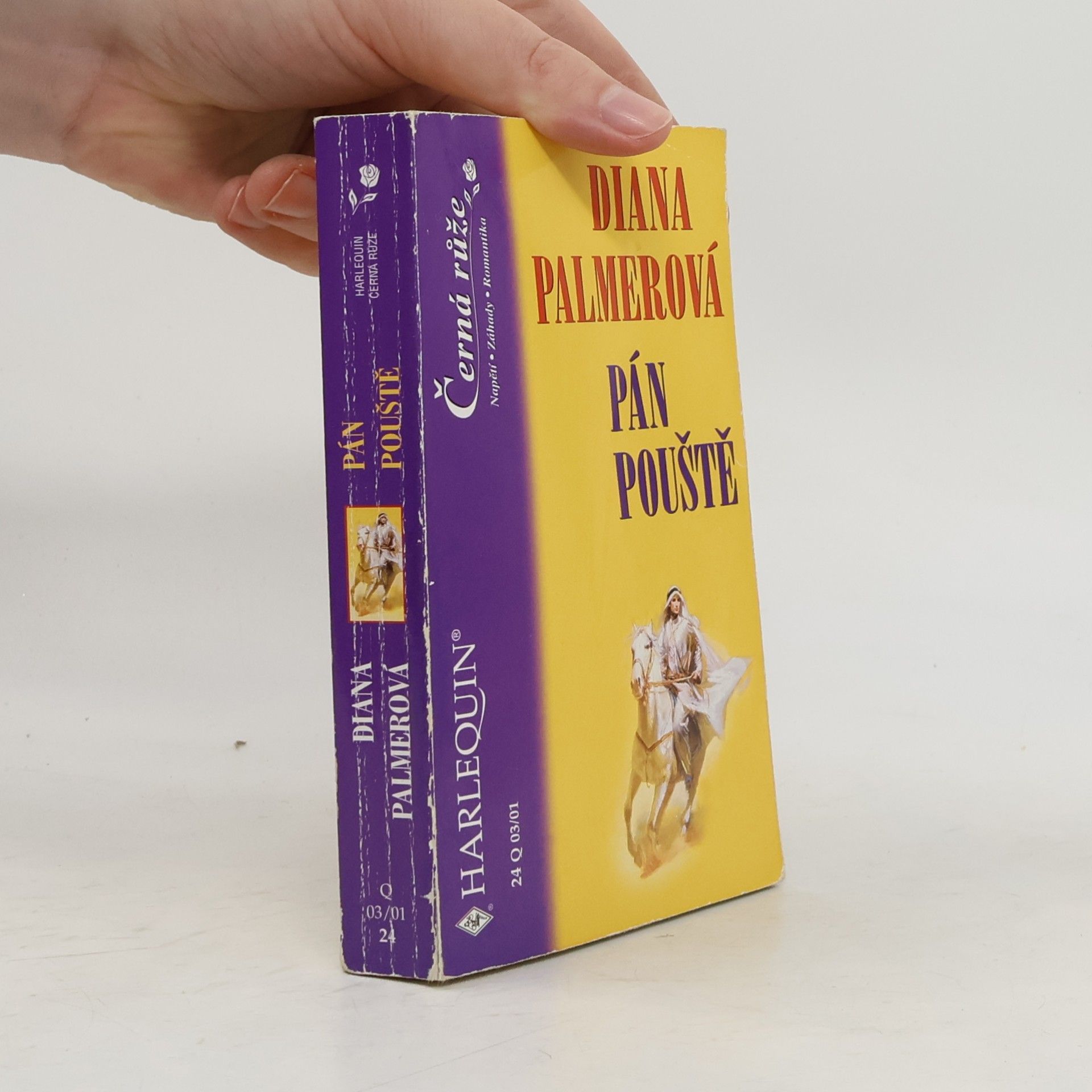 Diana Palmer Pán pouště
