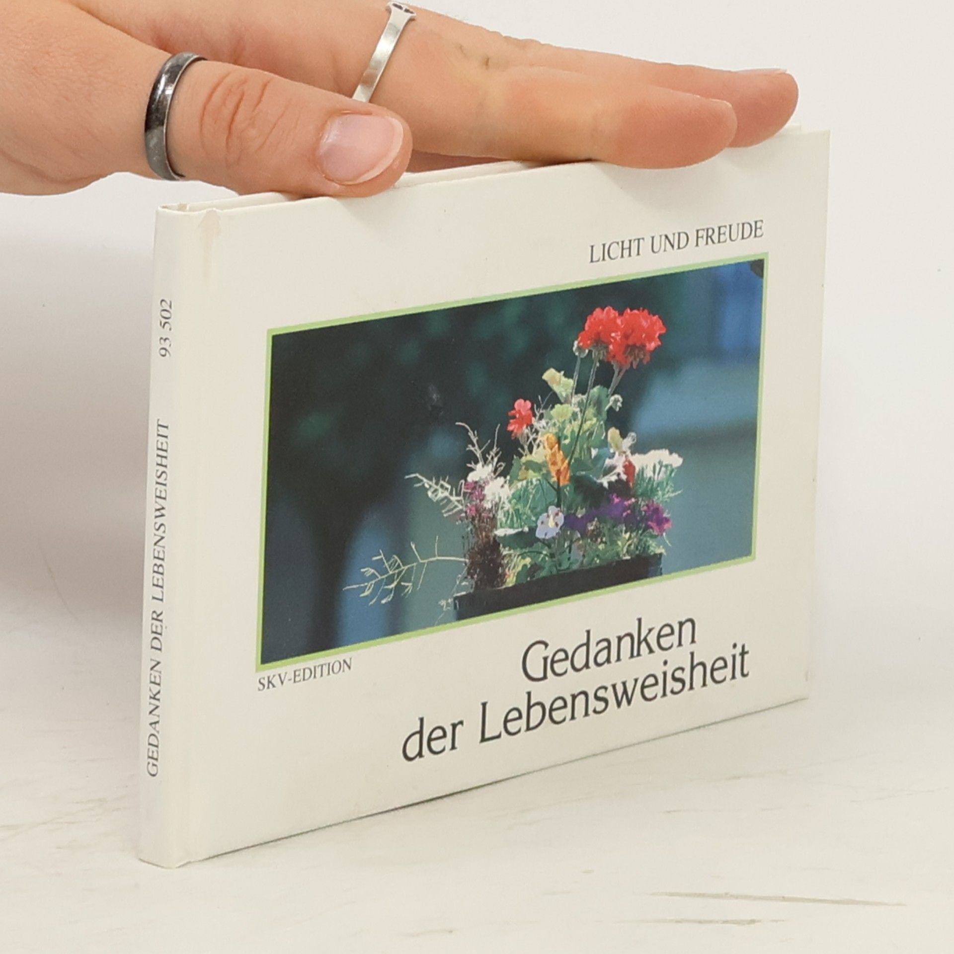 Kolektiv autorů Gedanken der Lebensweisheit