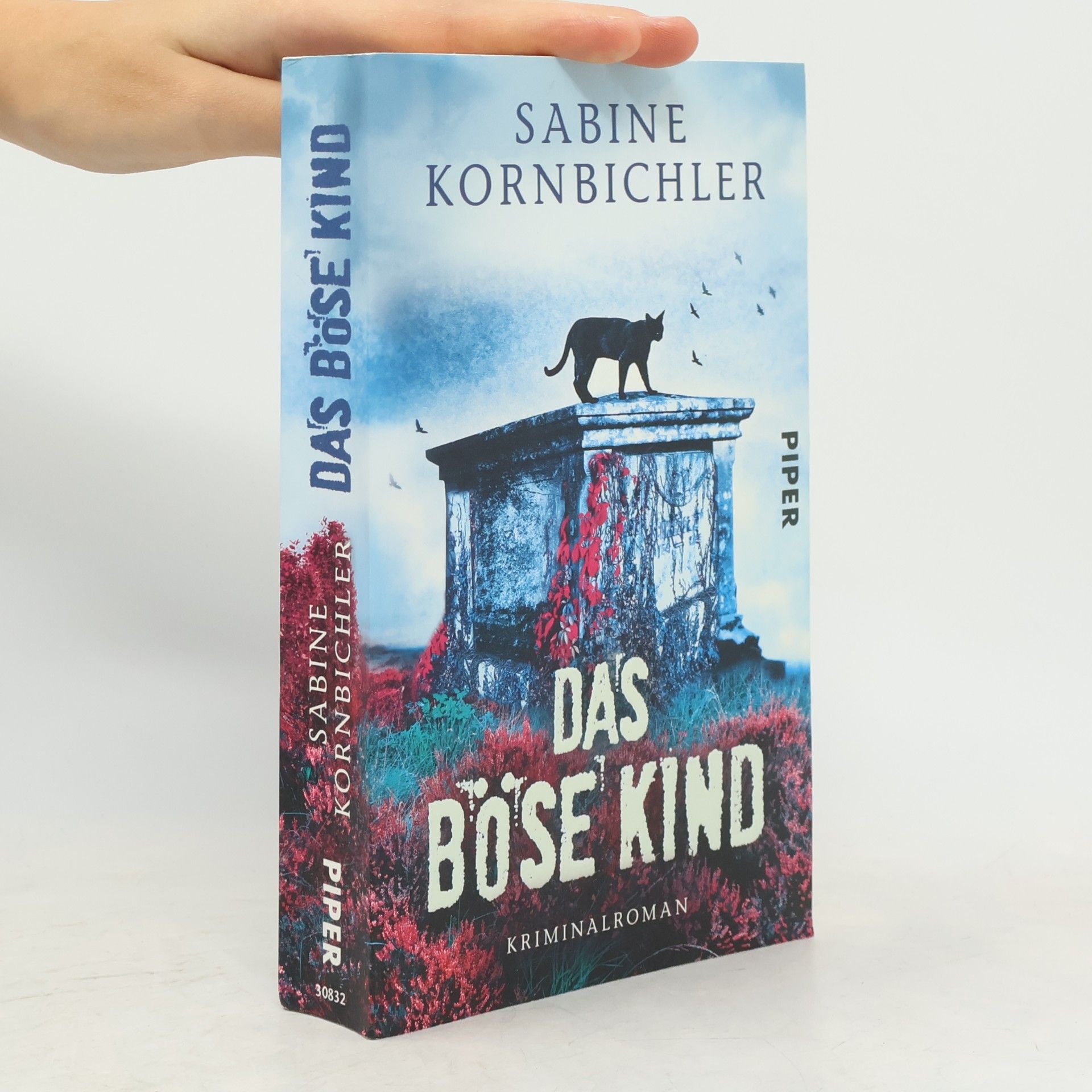 Sabine Kornbichler Das Böse Kind