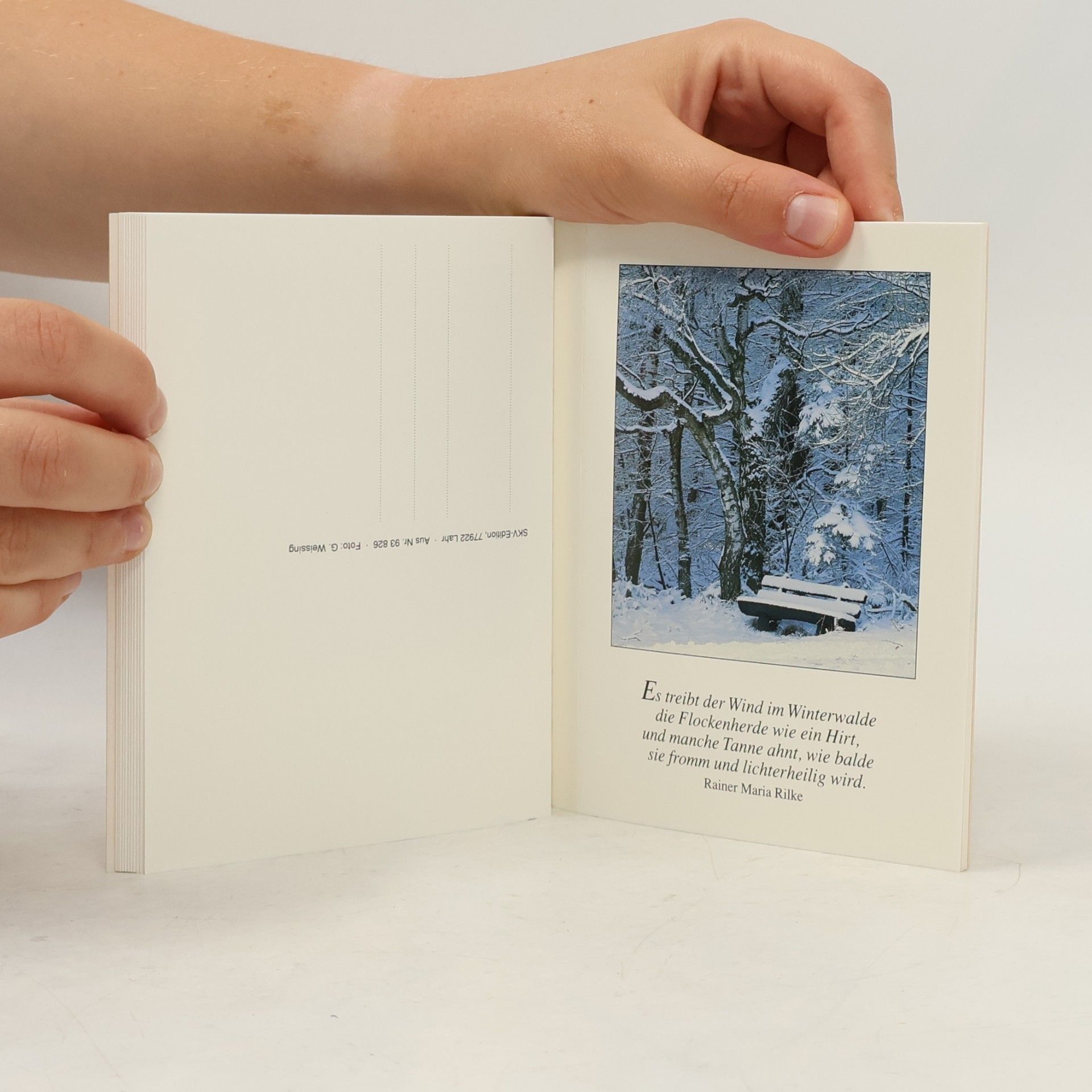 Herzliche Weihnachtsgrüße. 15 farbige Postkarten. Geschenk- Postkartenbuch
