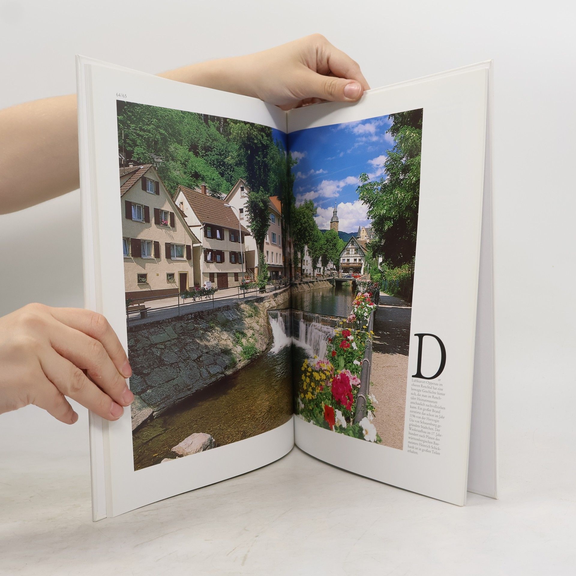 Daniela Donzelli Kluckert Baden-Baden, Rastatt und die Ortenau