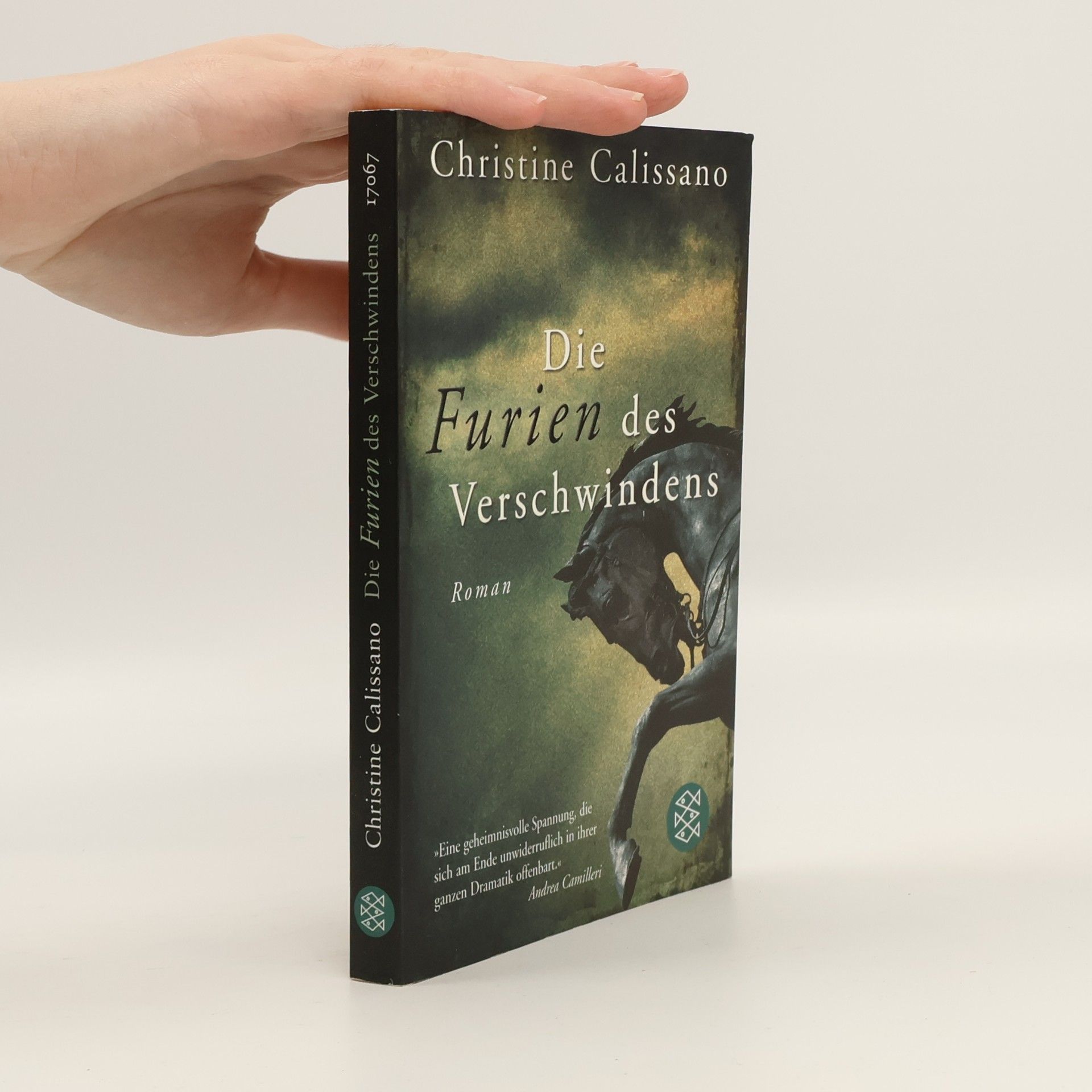 Christine Calissano Die Furien des Verschwindens