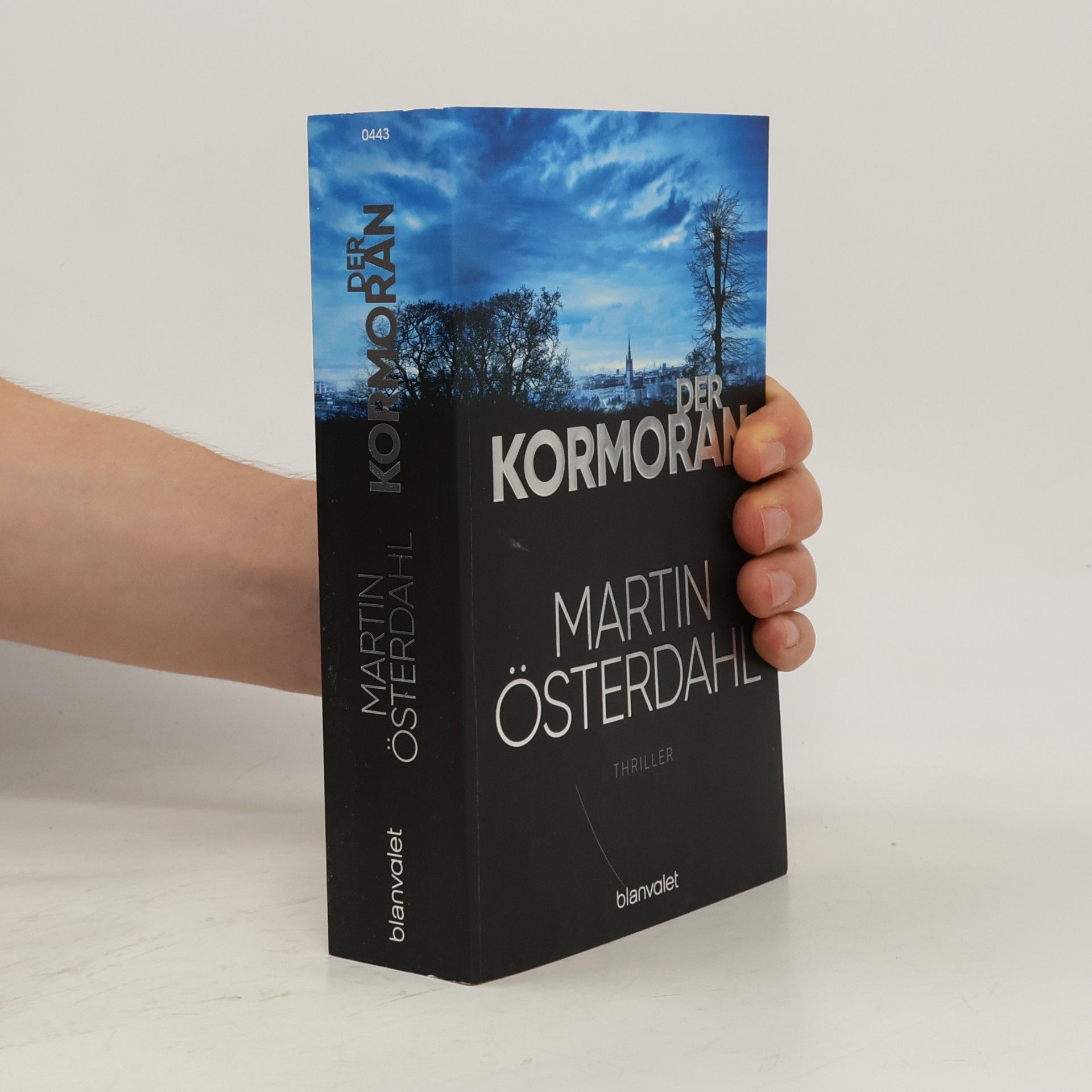 Martin Österdahl Der Kormoran