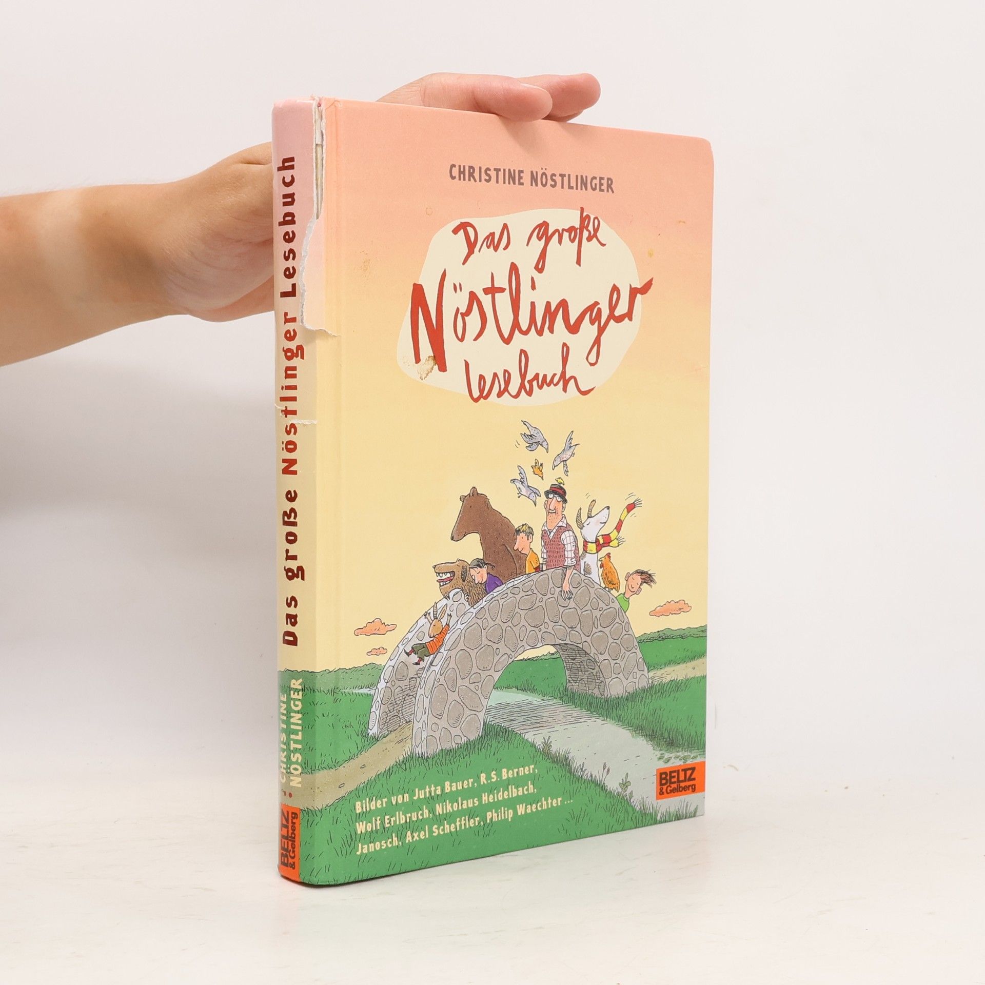 Verena Ballhaus Das große Nöstlinger Lesebuch