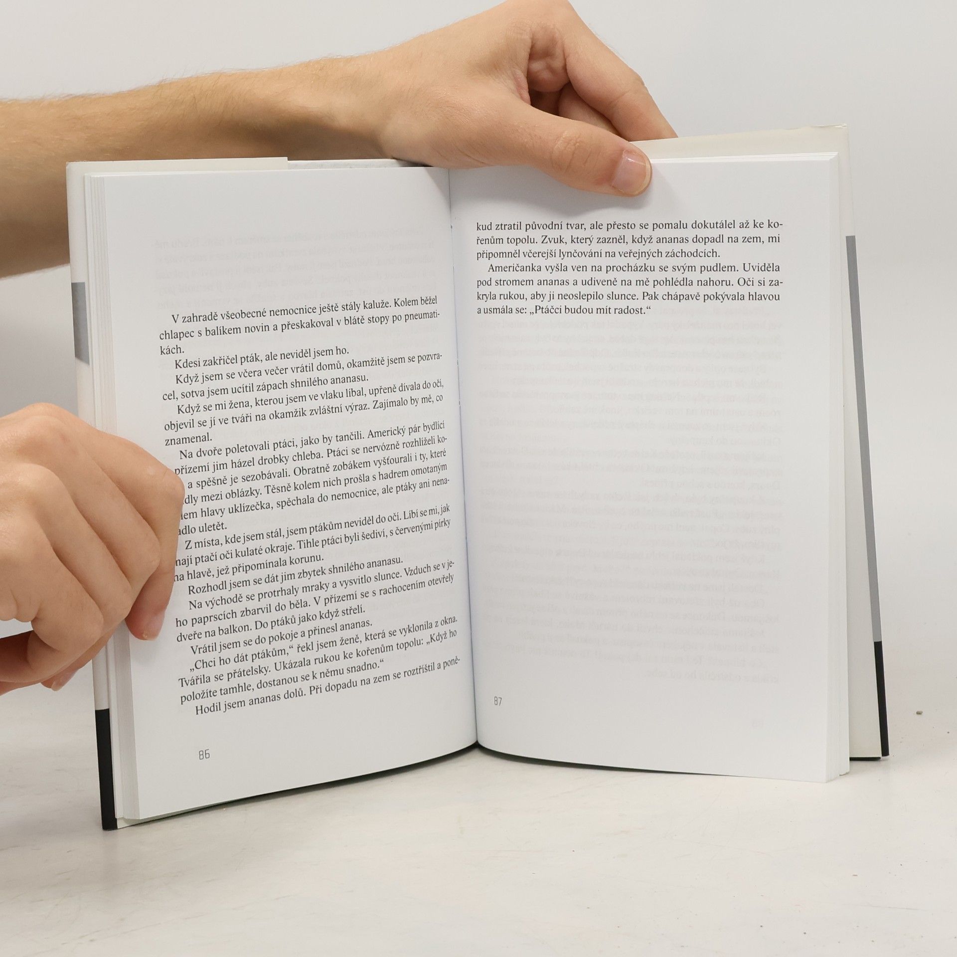 Ryū Murakami Nekonečná, téměř průzračná modř