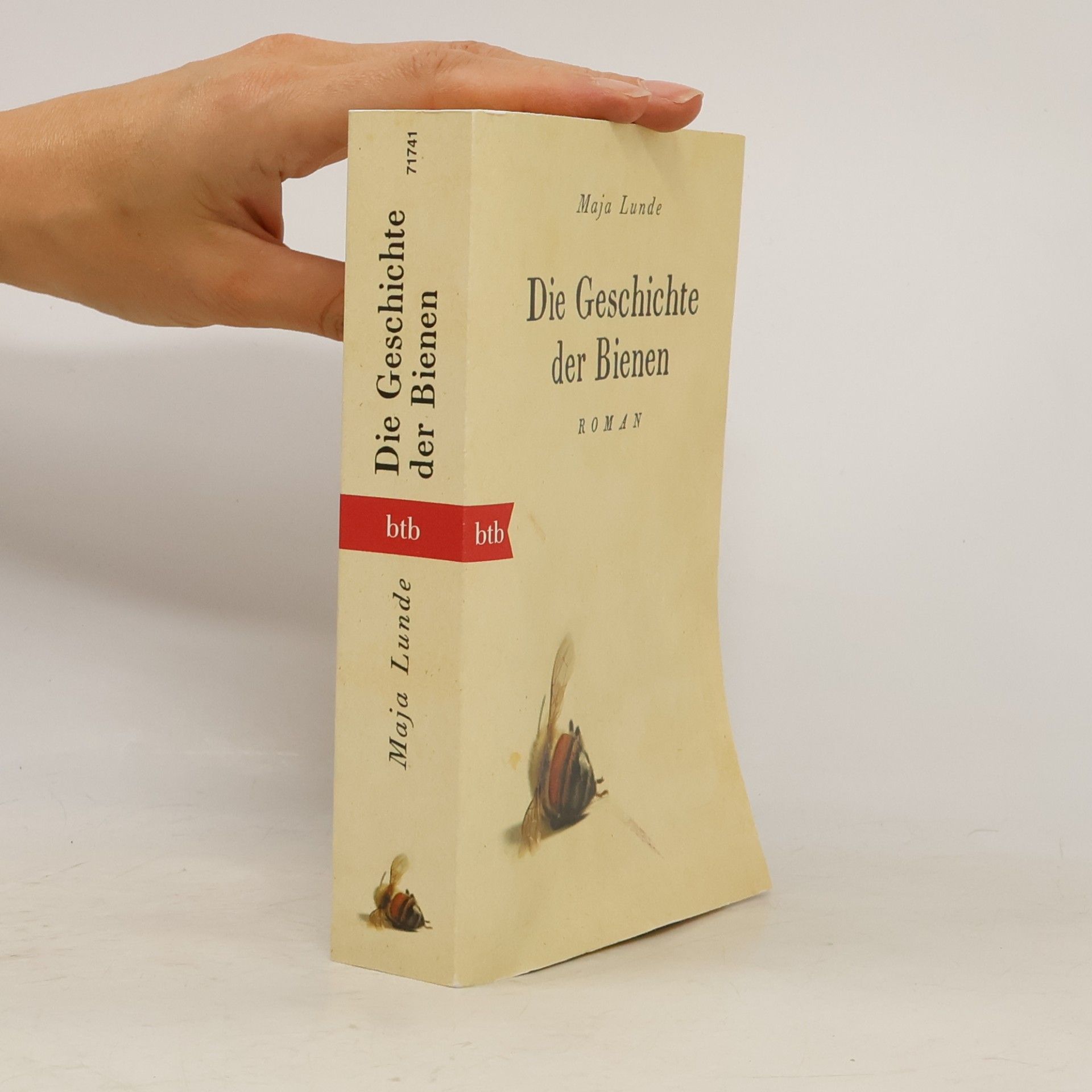 Maja Lunde Der Geschichte der Bienen