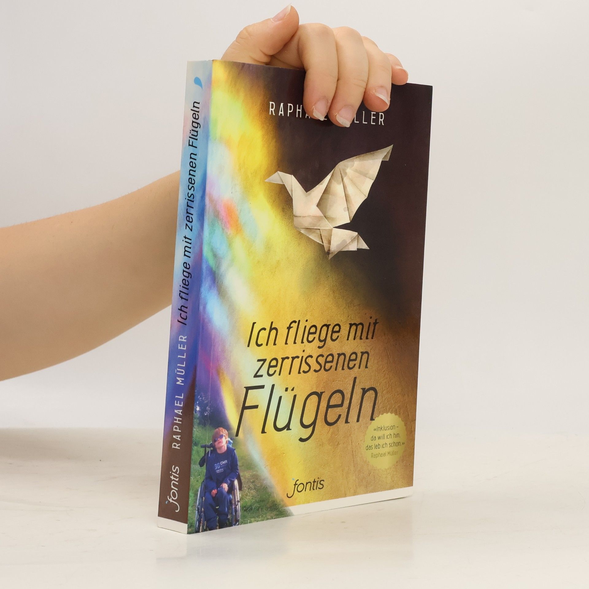 Raphael Müller Ich fliege mit zerrissenen Flügeln