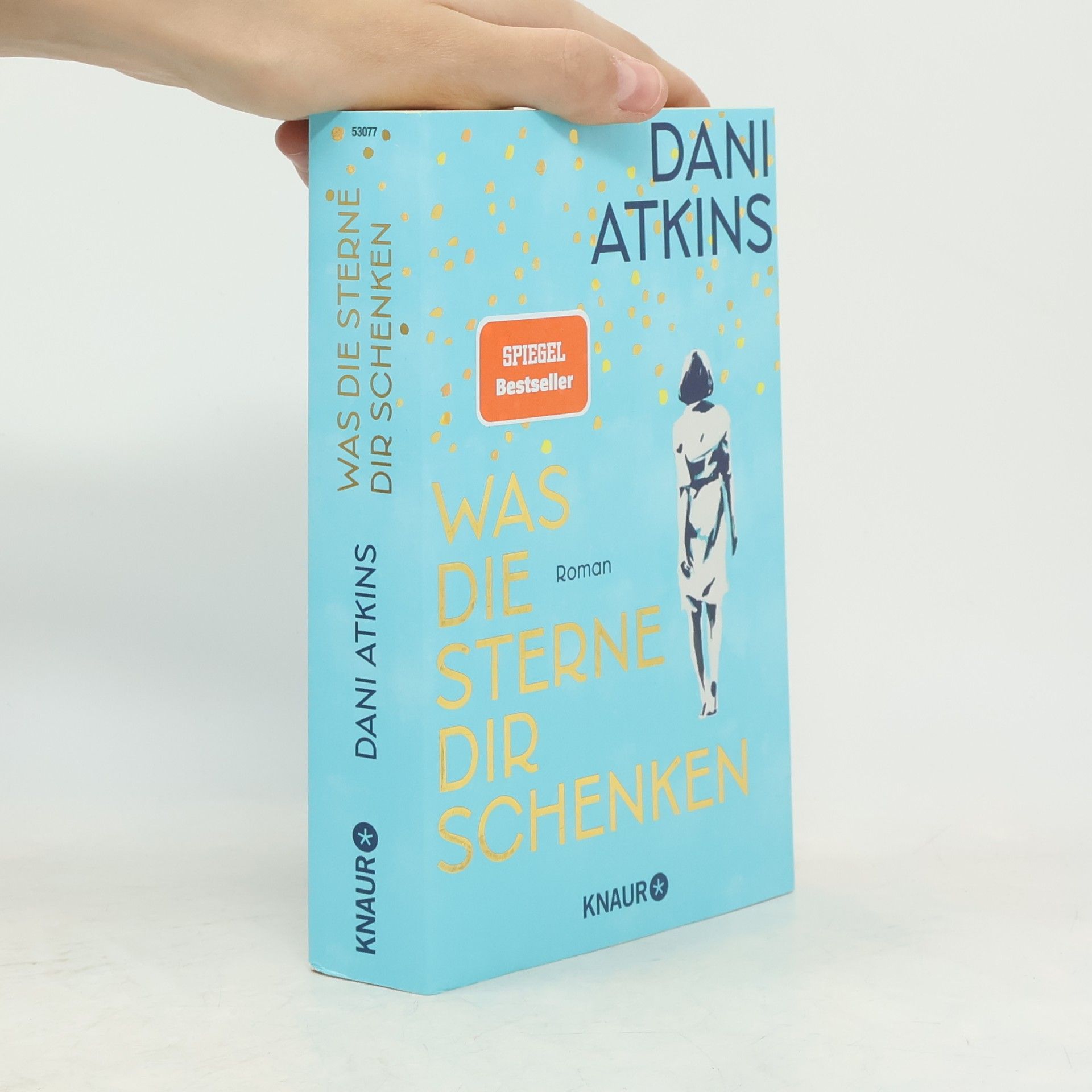 Dani Atkins Was die Sterne dir schenken