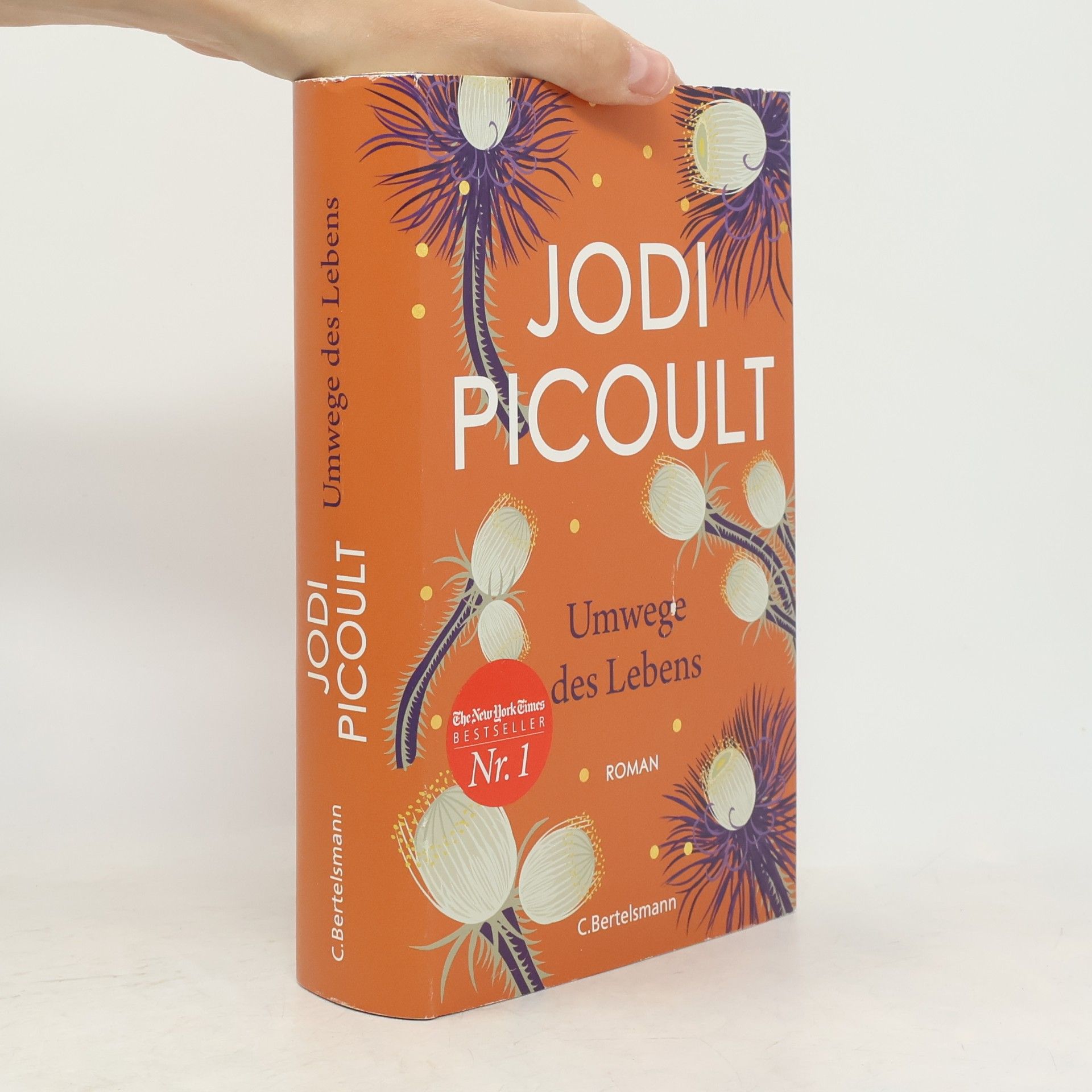 Jodi Picoult Umwege des Lebens