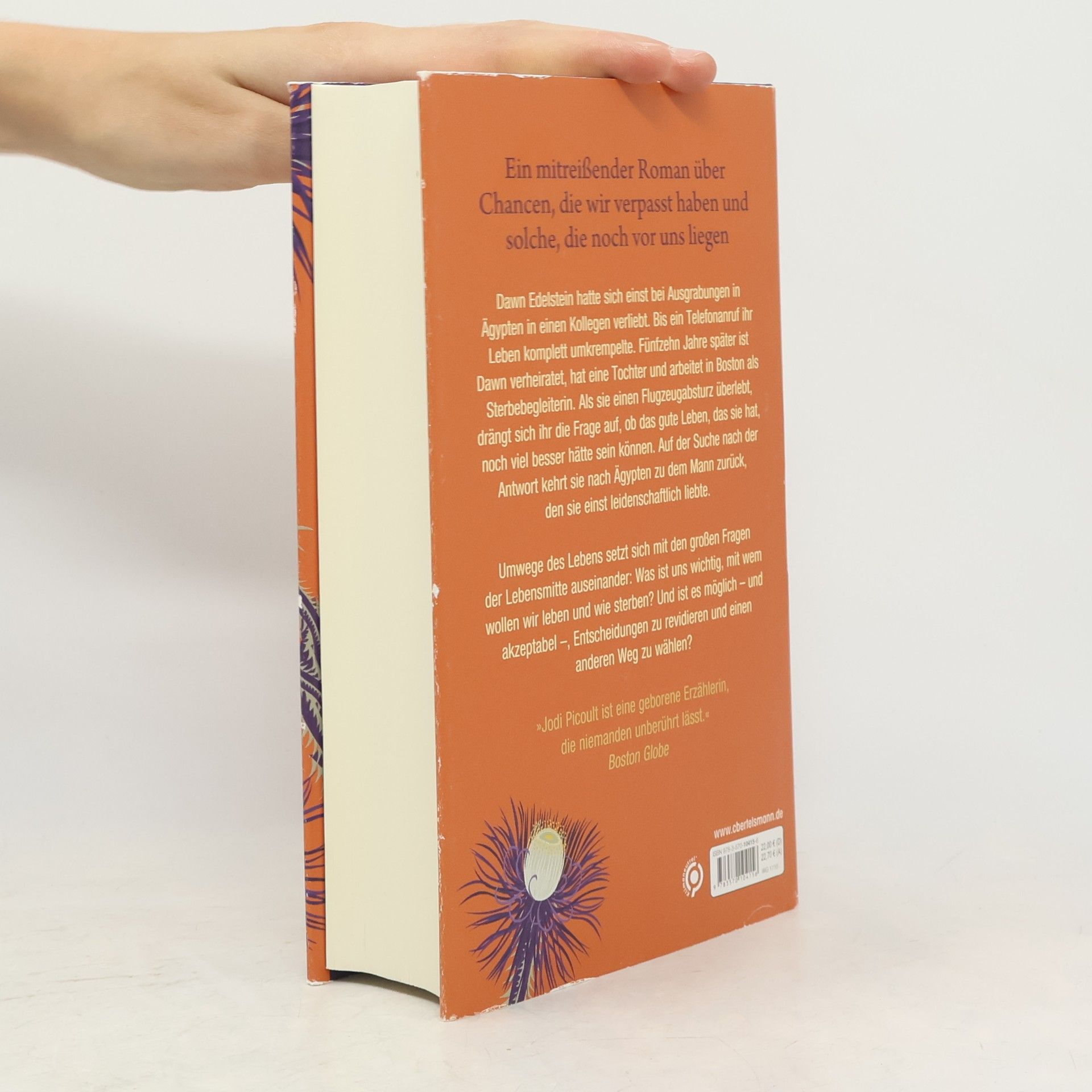 Jodi Picoult Umwege des Lebens