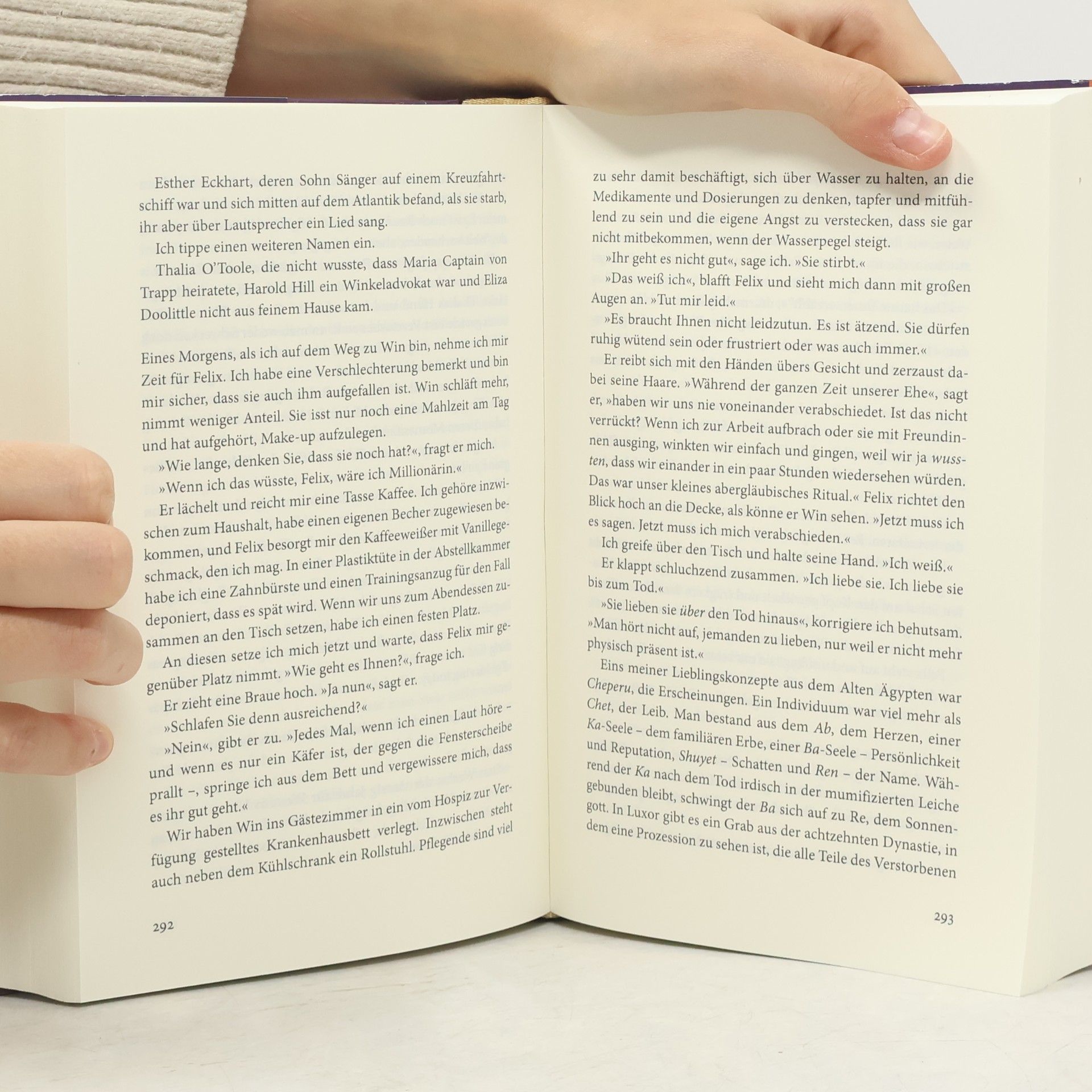 Jodi Picoult Umwege des Lebens