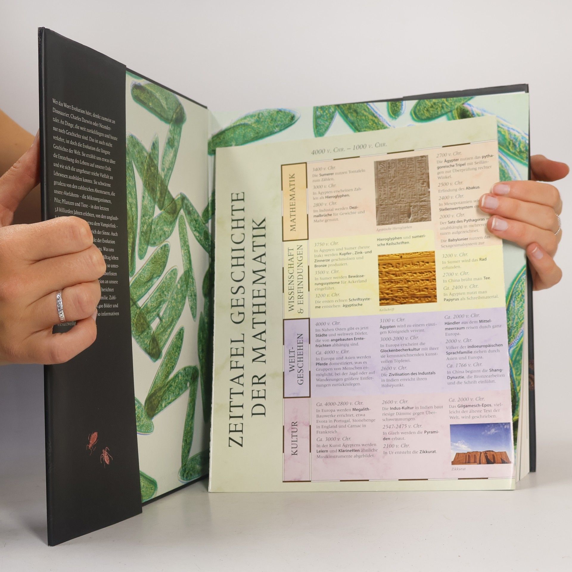 Ernst Fischer Das große Buch der Evolution