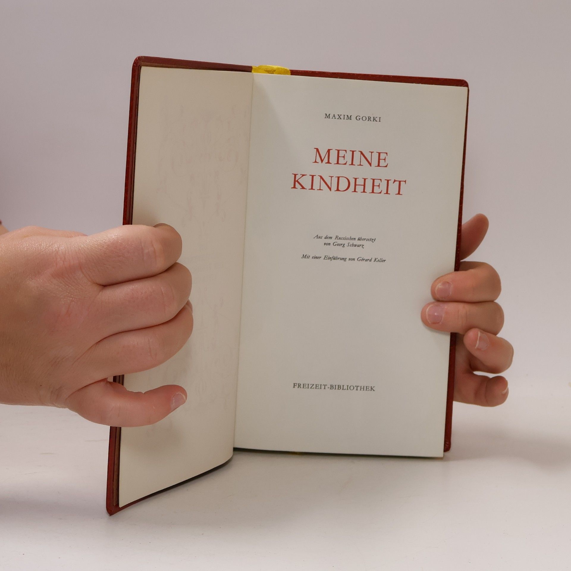 Maxim Gorki Meine Kindheit