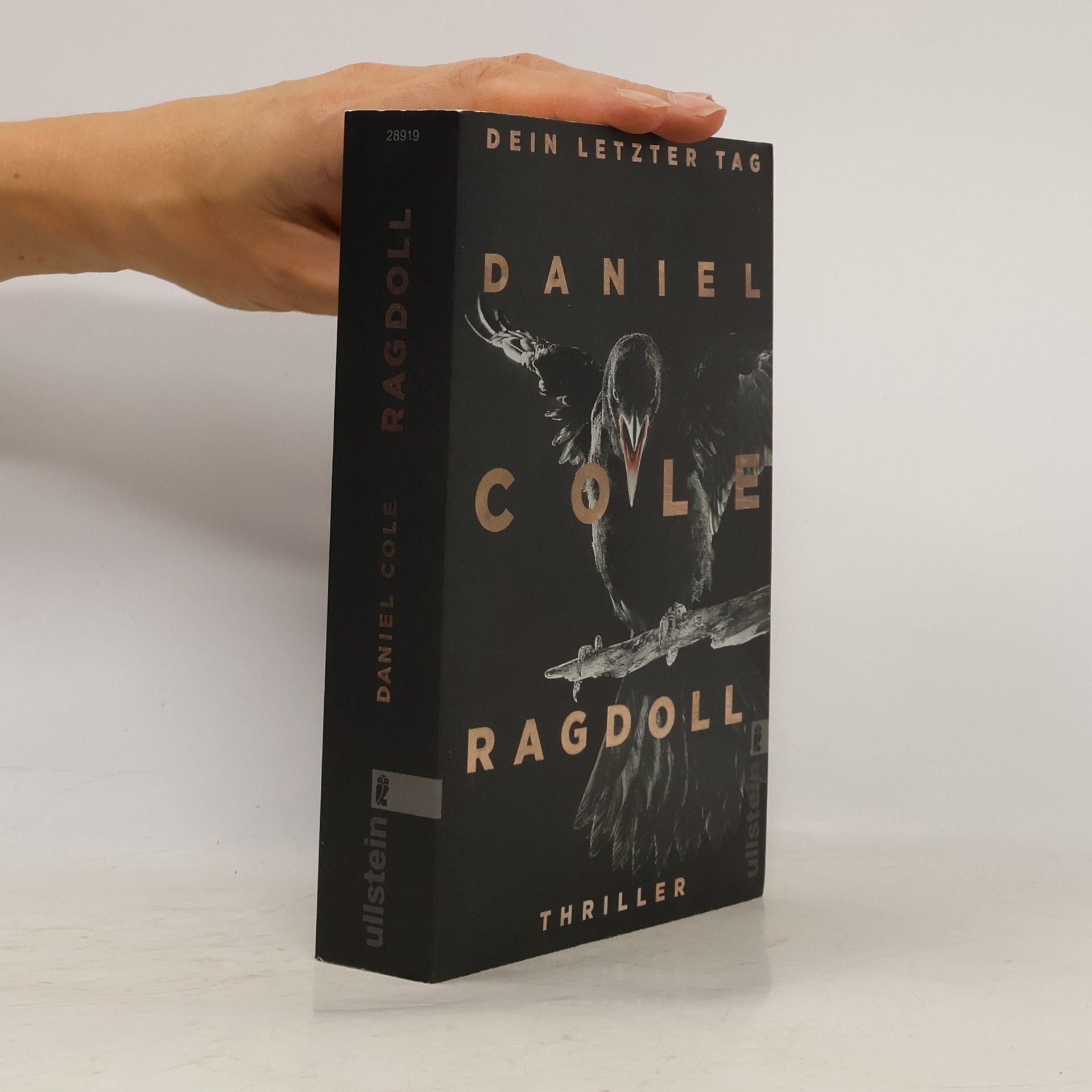 Daniel Cole Ragdoll