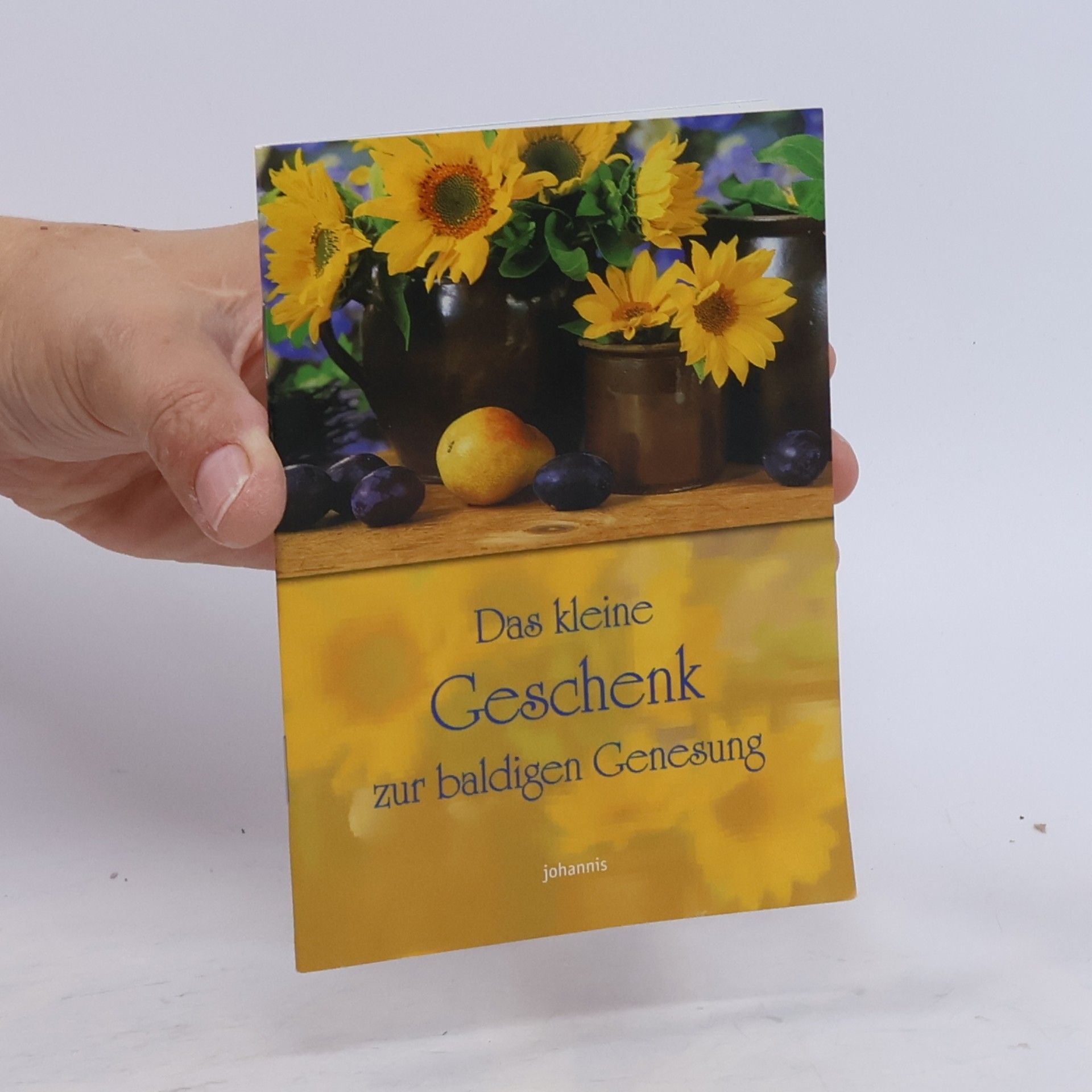 Autorenkollektiv Das kleine Geschenk zur baldigen Genesung