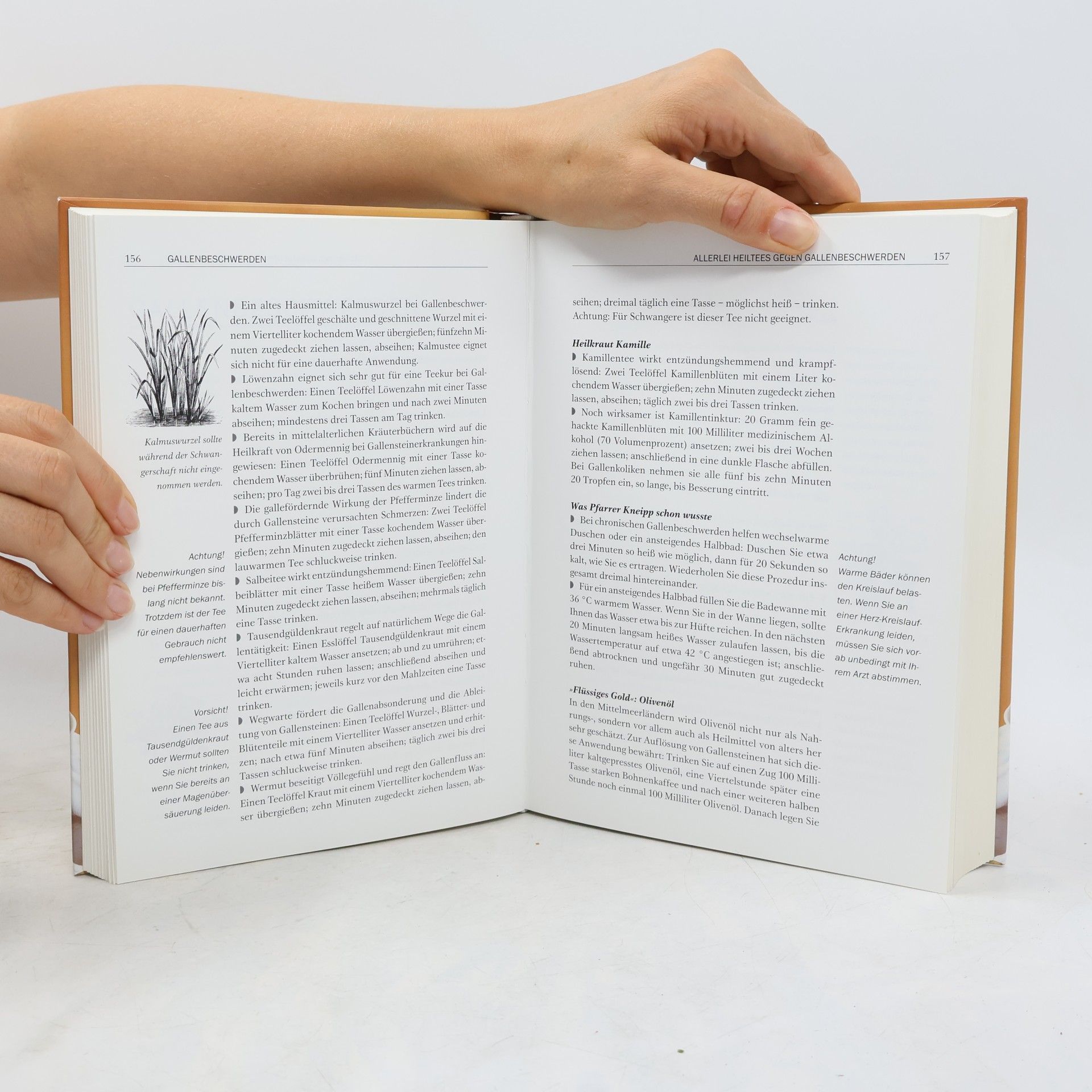 Eberhard J. Wormer Omas großes Buch der Hausmittel
