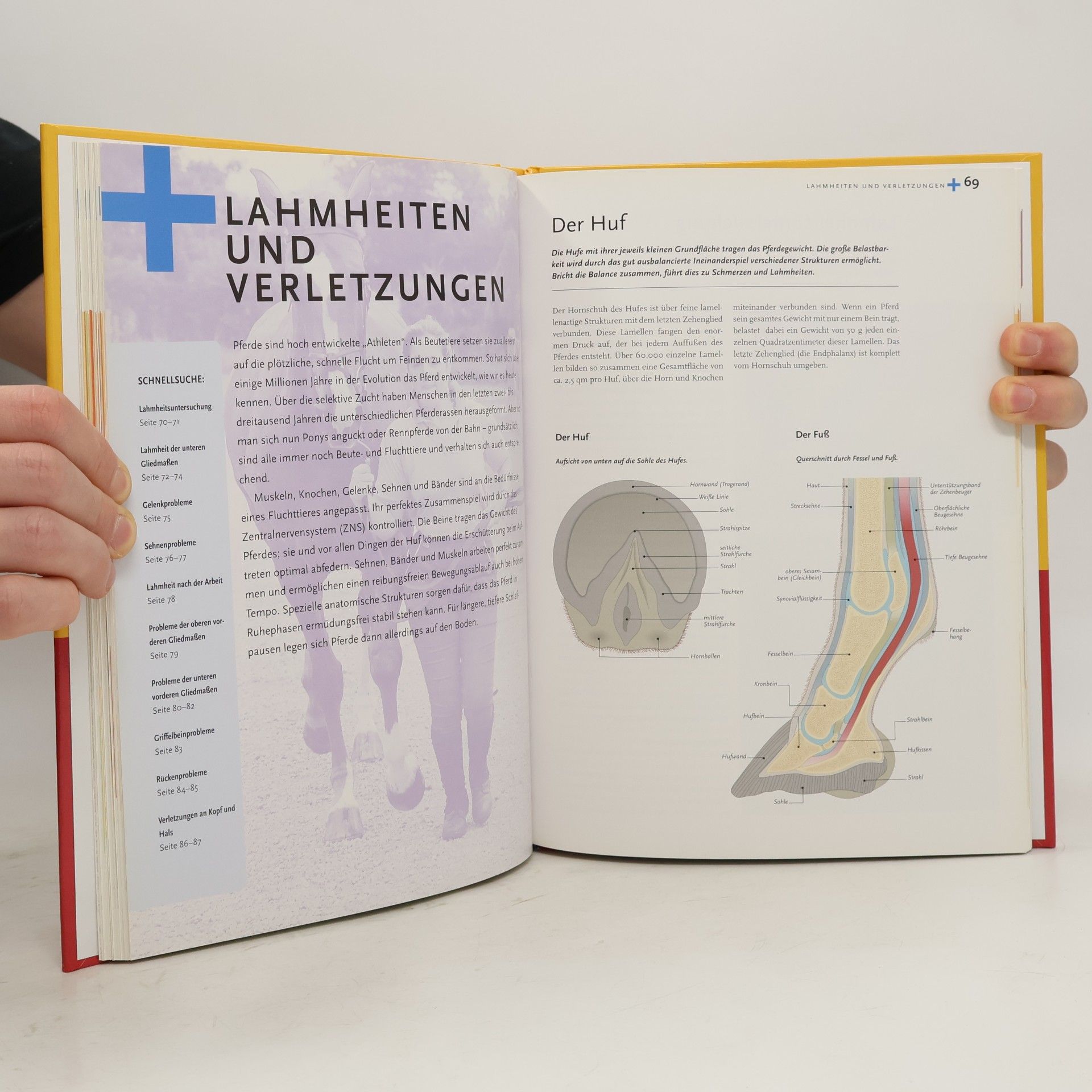 John McEwen Das Kosmos Buch Pferdekrankheiten