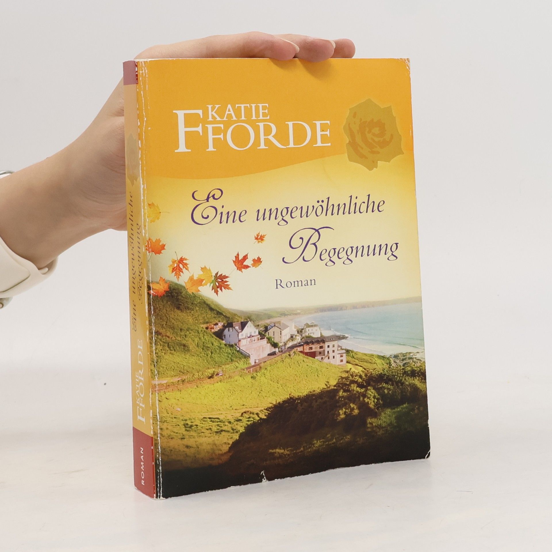 Katie Fforde Eine ungewöhnliche Begegnung