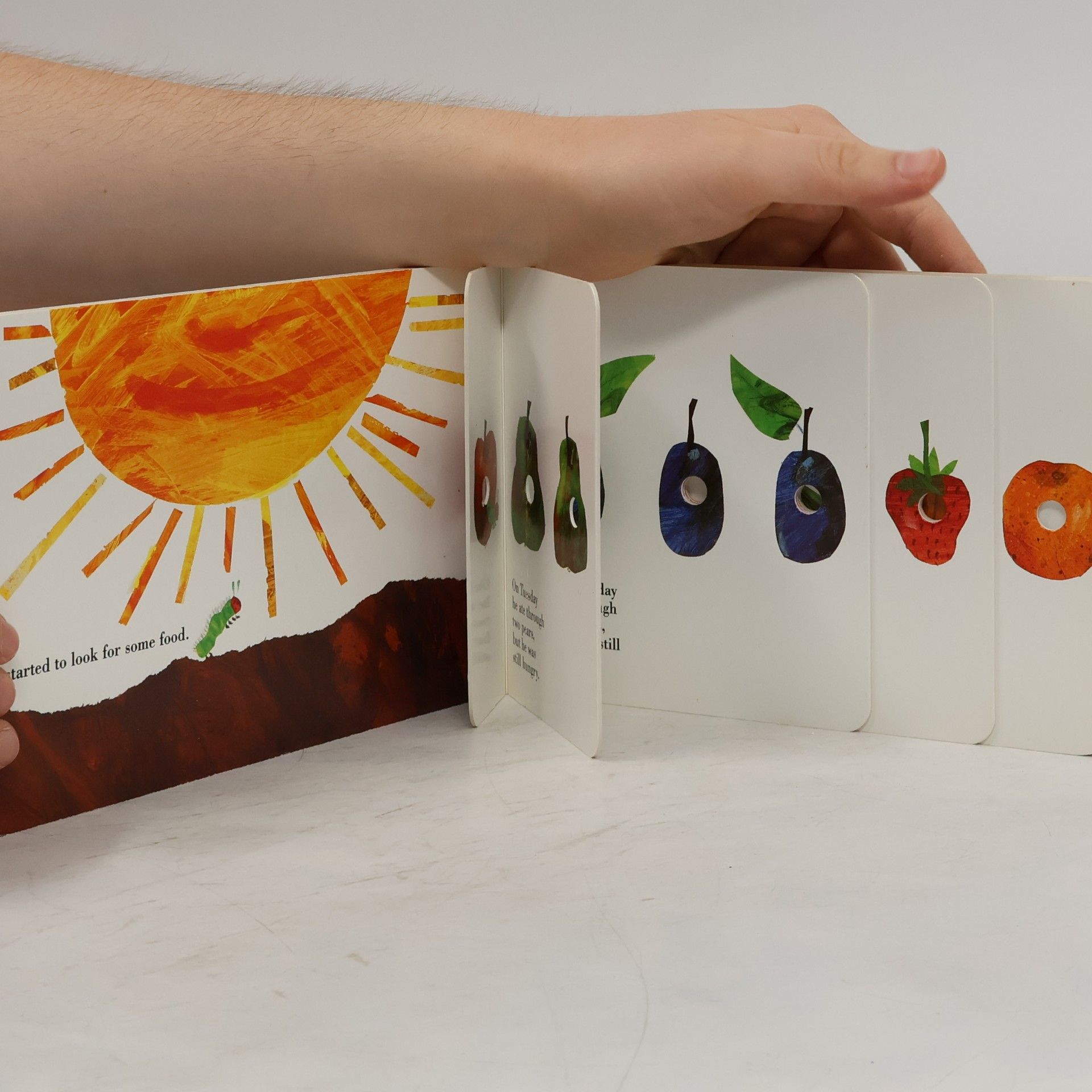 Eric Carle The Very Hungry Caterpillar