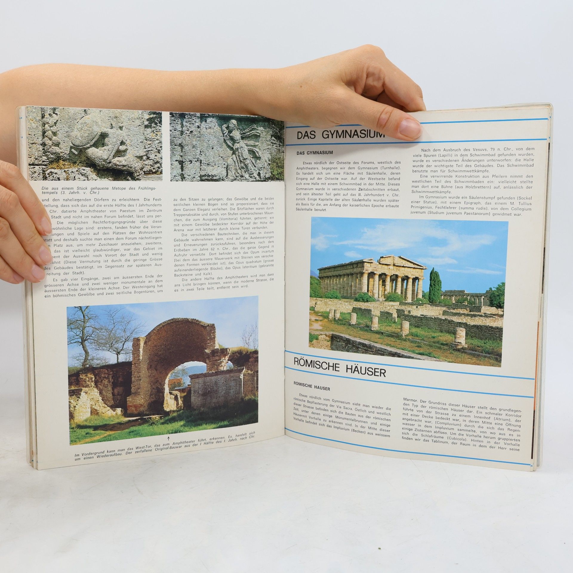 Kolektiv autorů Paestum und Velia