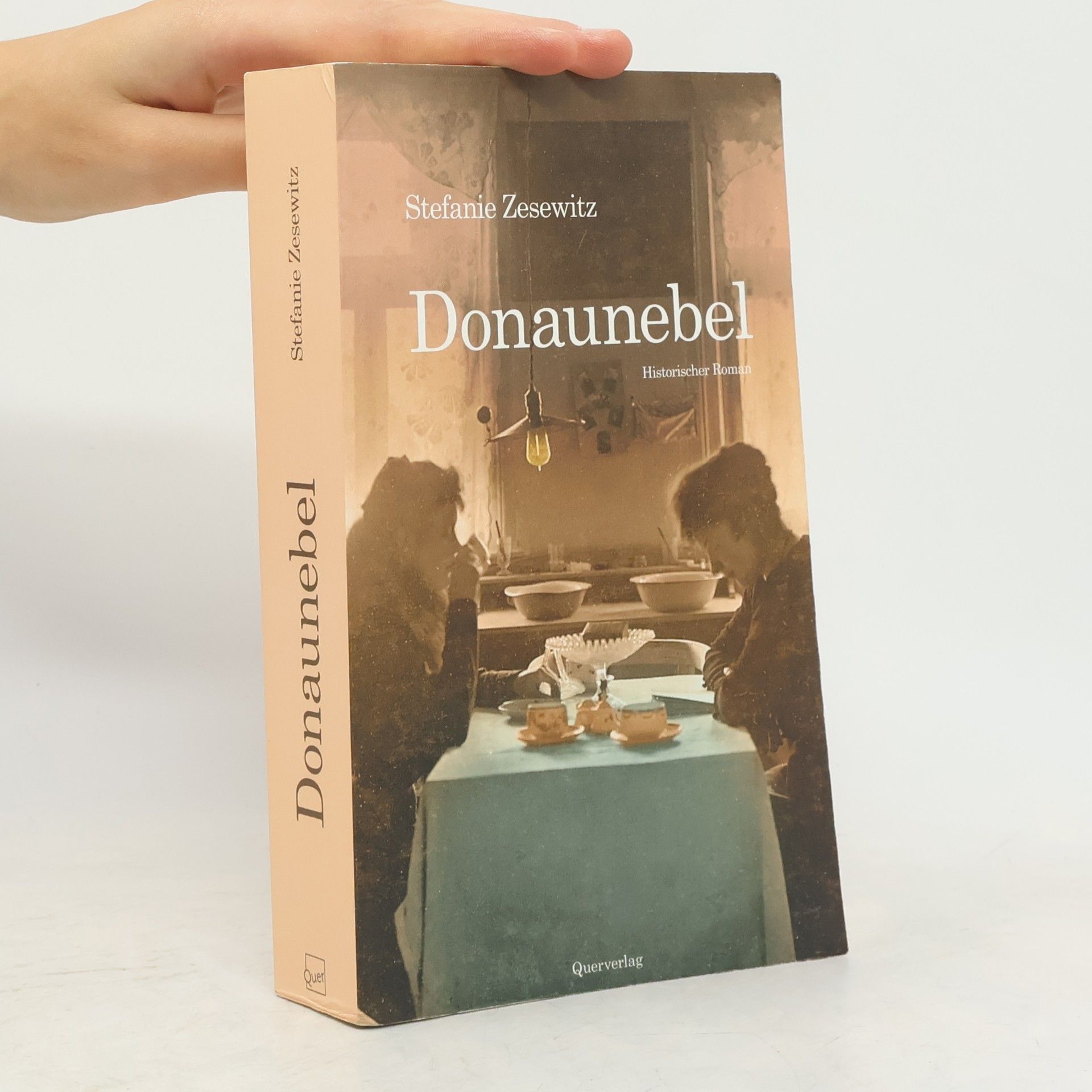 Stefanie Zesewitz Donaunebel