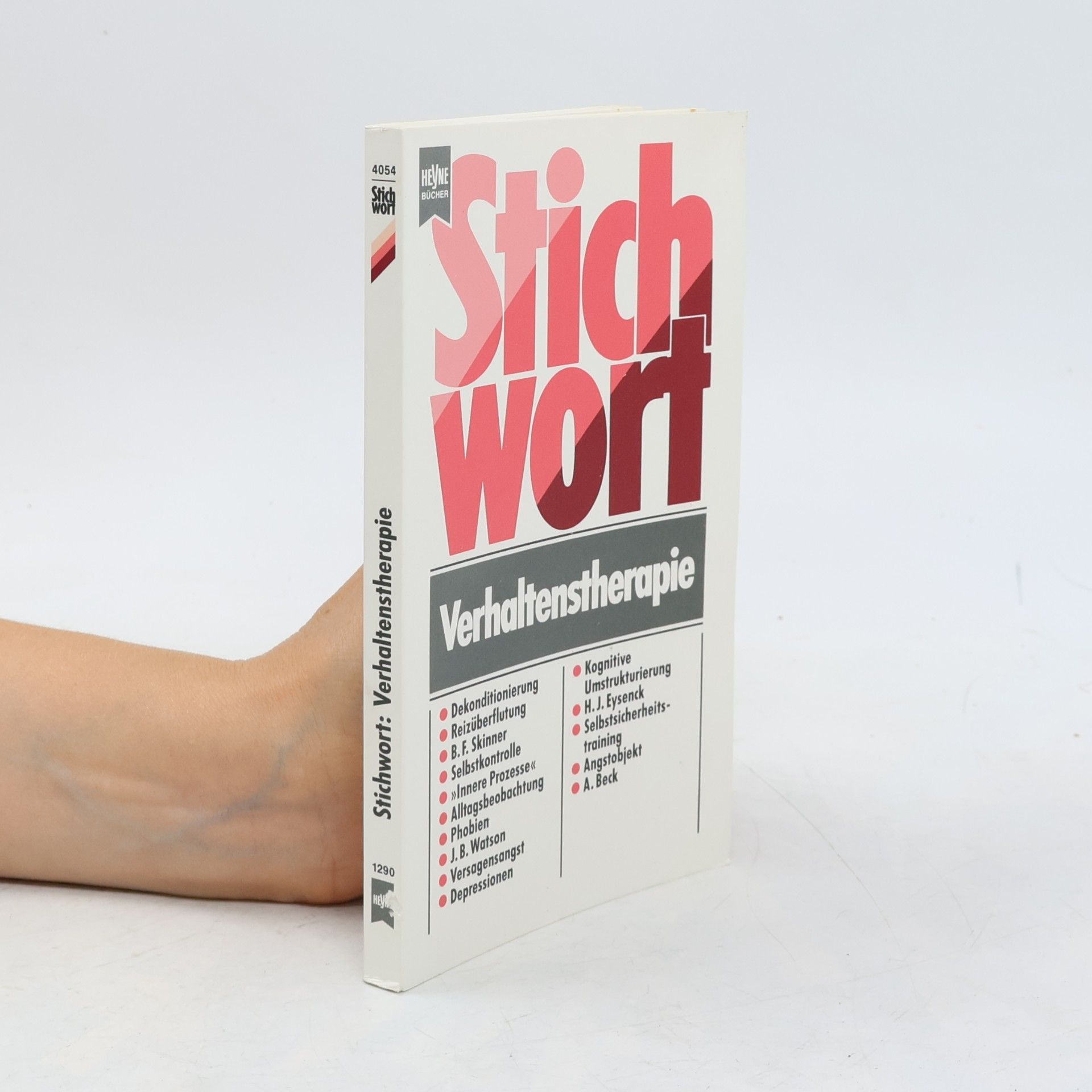 Steffen Fliegel Stichwort Verhaltenstherapie