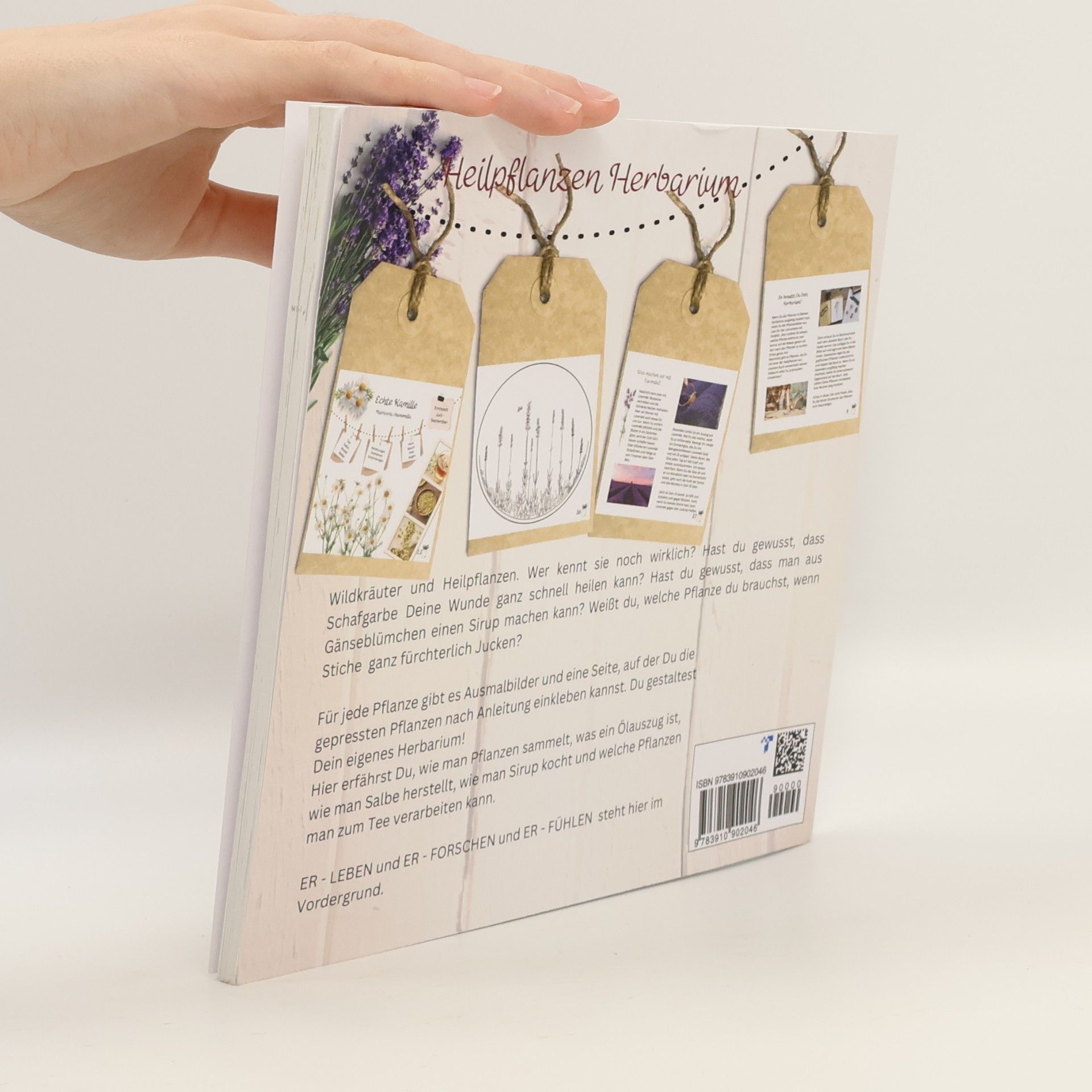 Mama Claudi Was dir kein Lehrer verrät - 20 Wildkräuter zum Er-leben - Heilpflanzen Herbarium