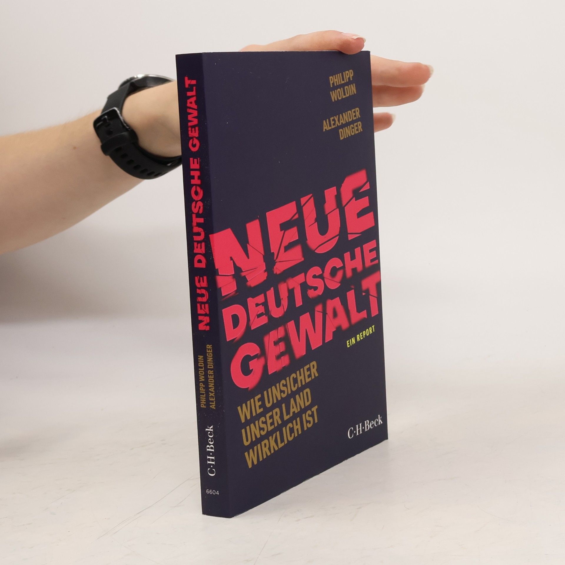 Philipp Woldin Neue deutsche Gewalt