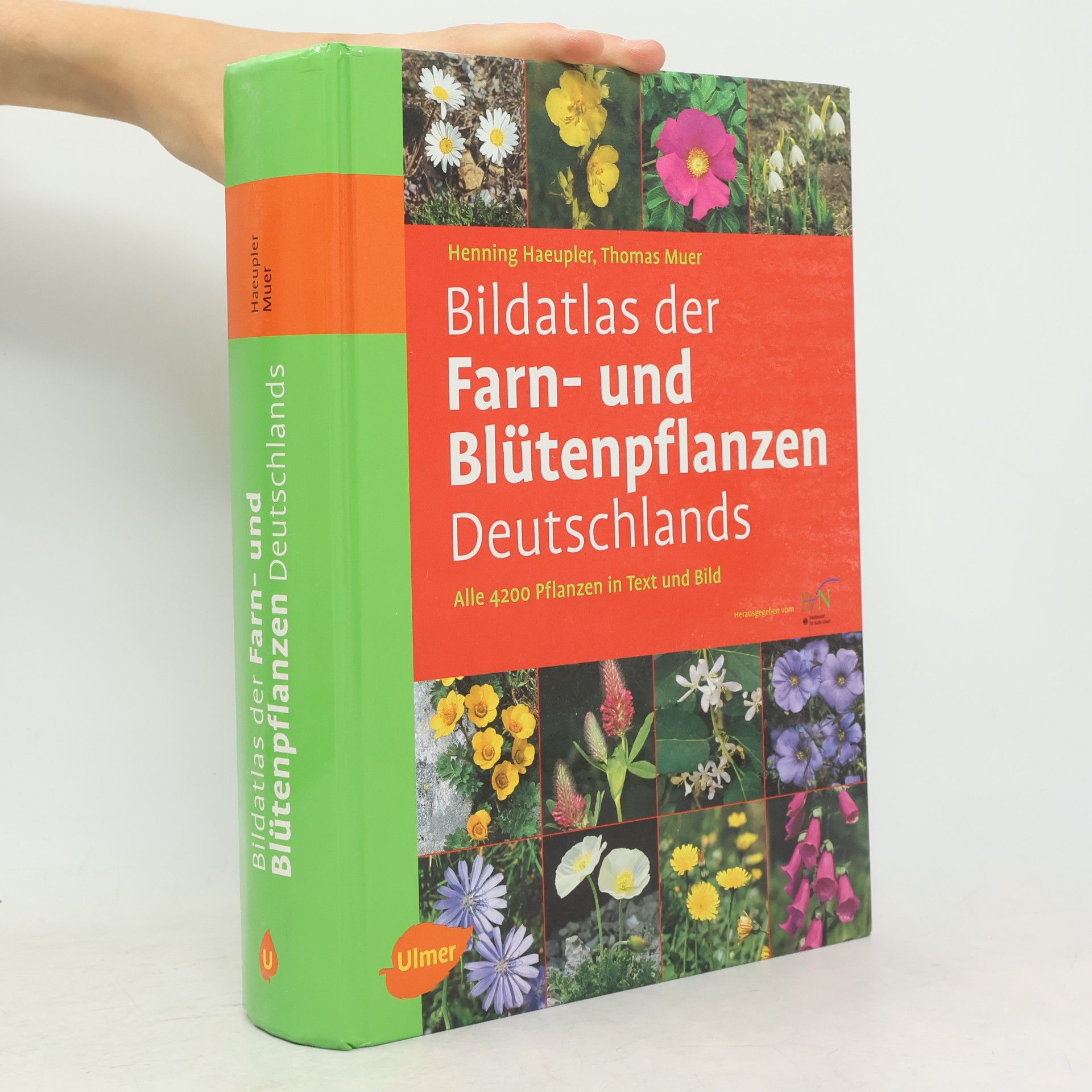 Henning Haeupler Bildatlas der Farn- und Blütenpflanzen Deutschlands