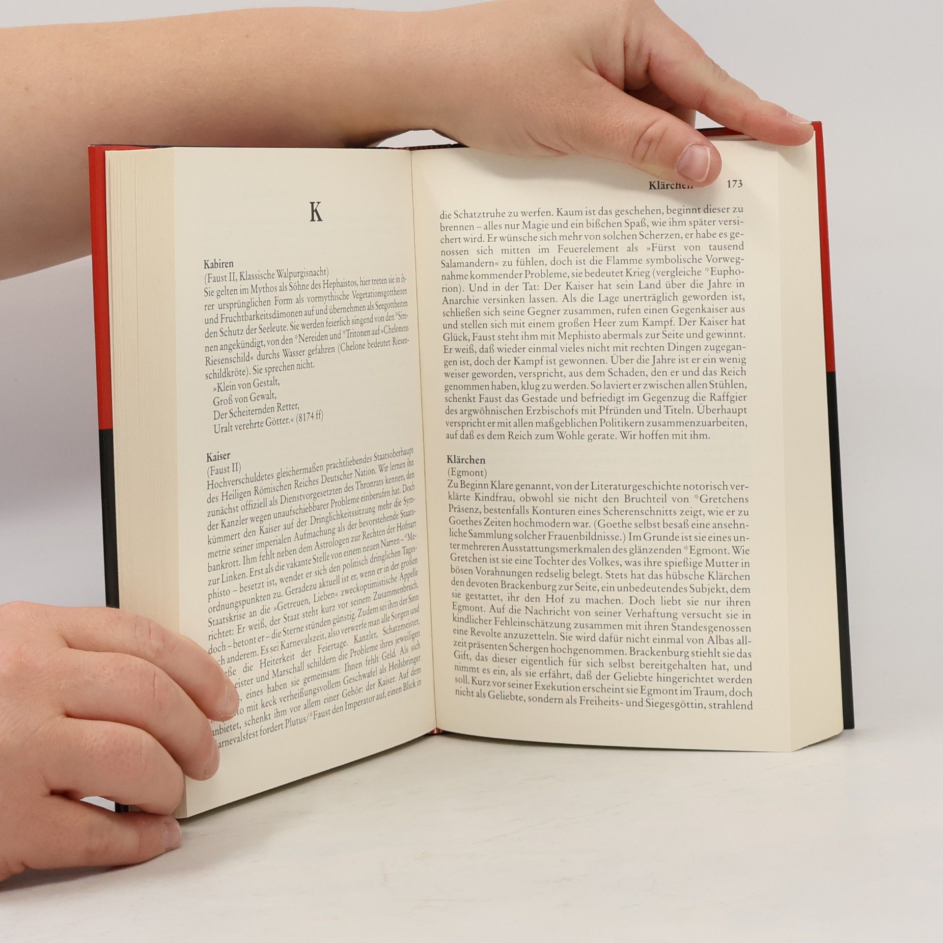 Michael Losch Who's who bei Goethe