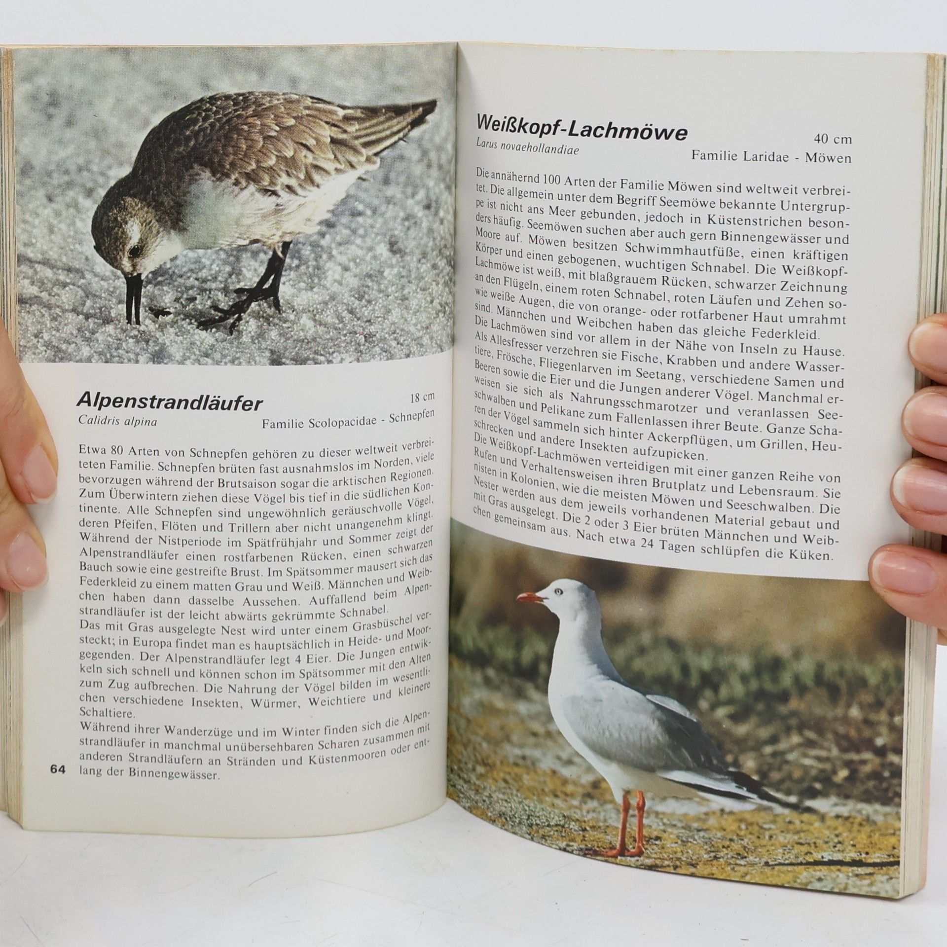 Lester L. Short Vögel