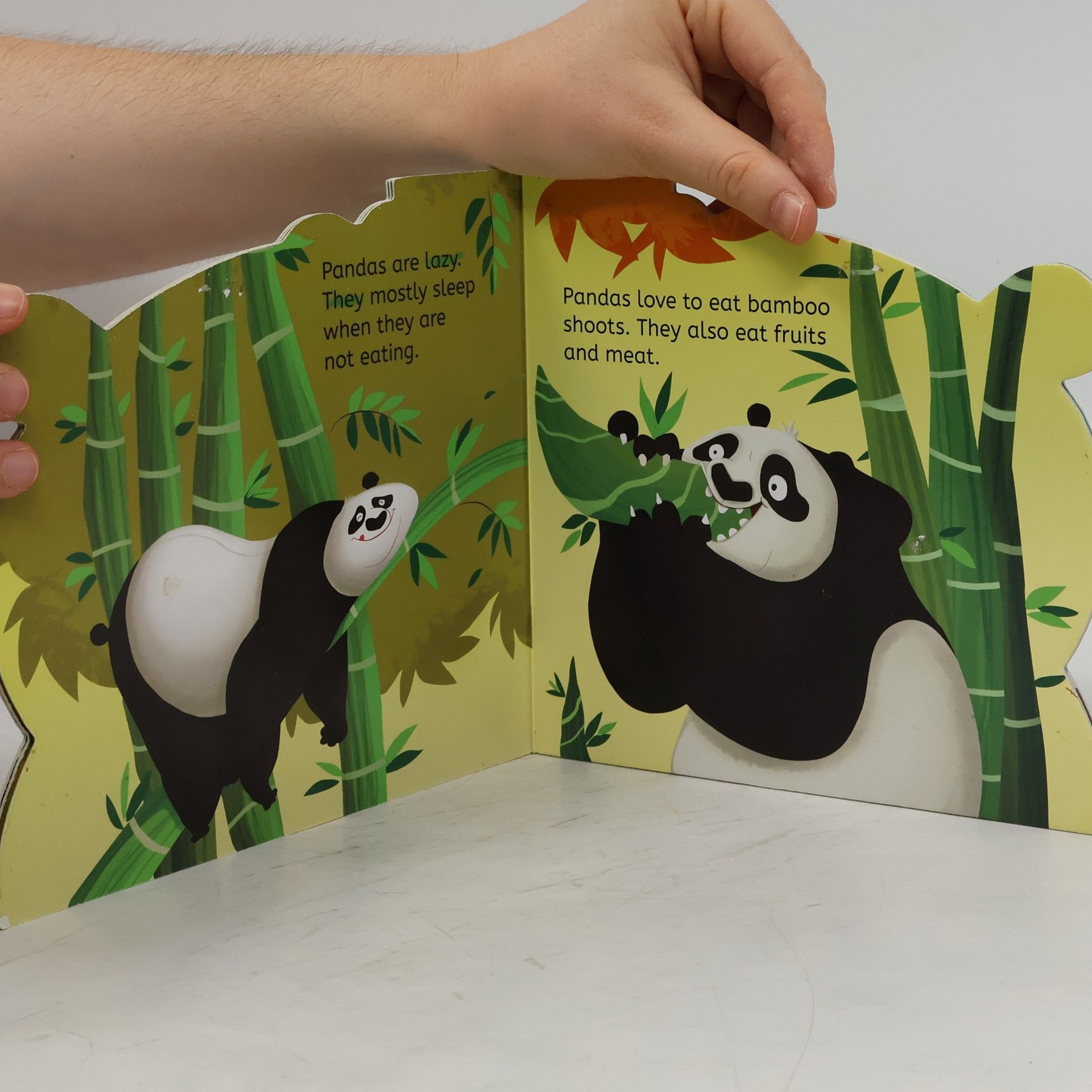 Wonder House Books My First Shaped Board Book