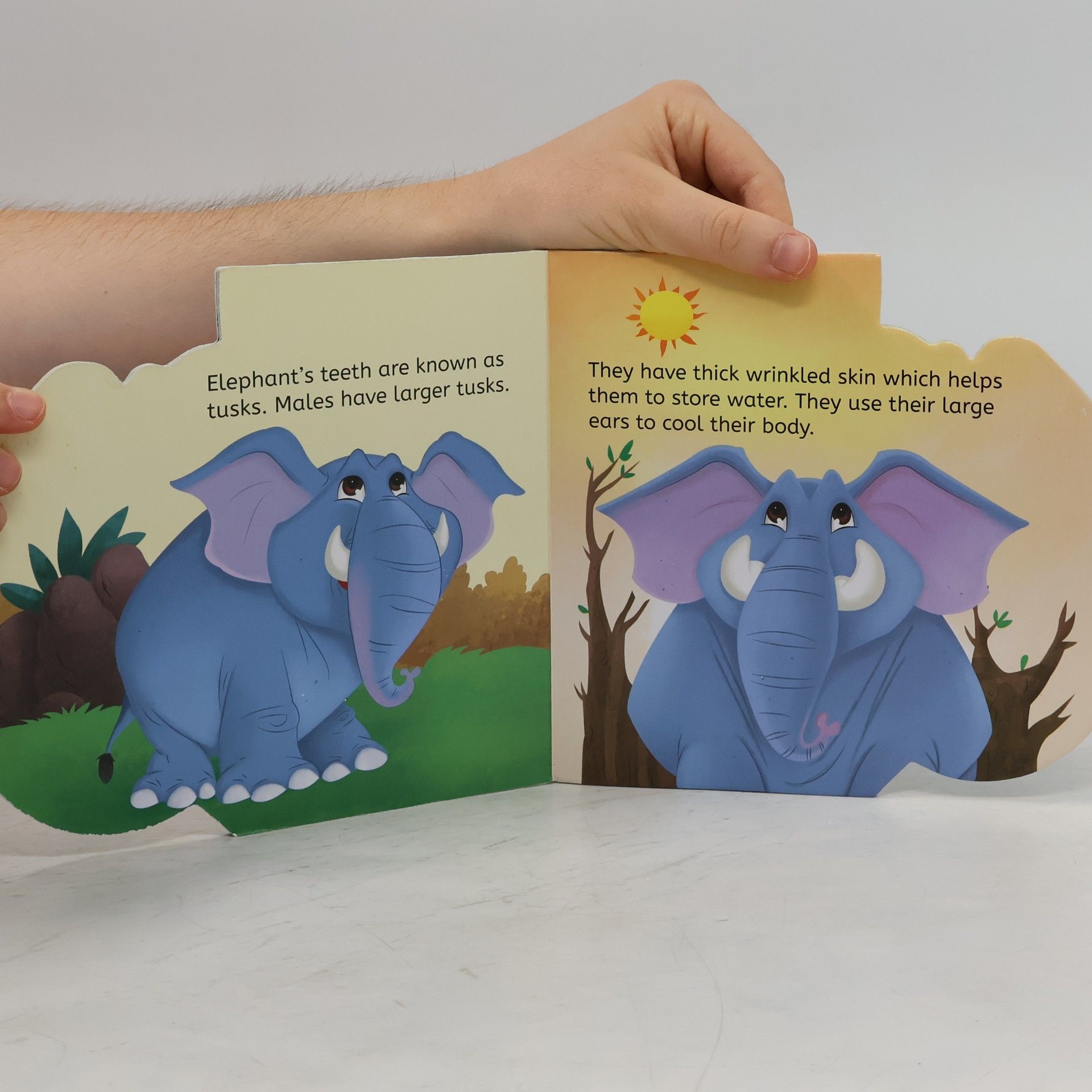 Wonder House Books My First Shaped Board Books