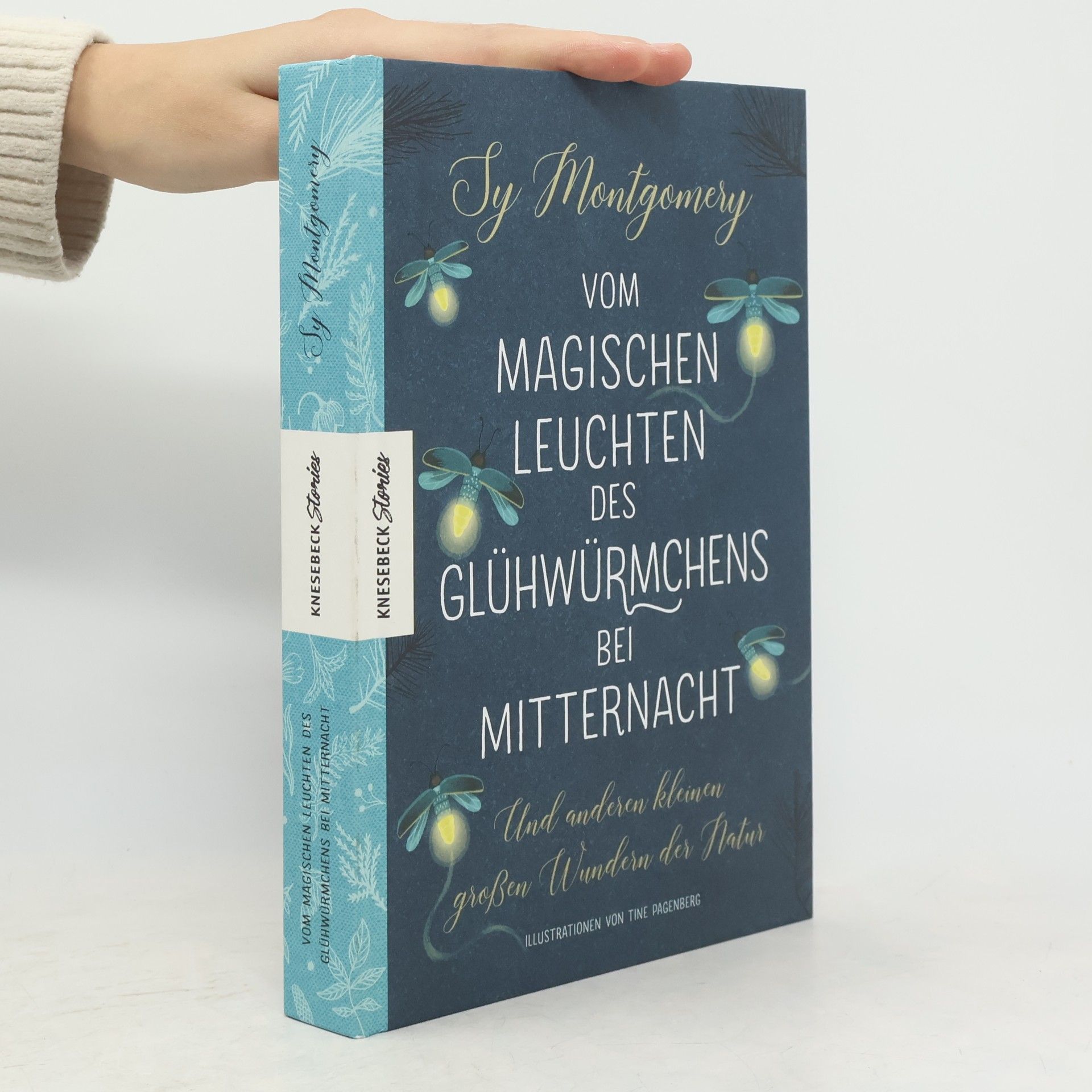Sy Montgomery Vom magischen Leuchten des Glühwürmchens bei Mitternacht und anderen kleinen großen Wundern der Natur